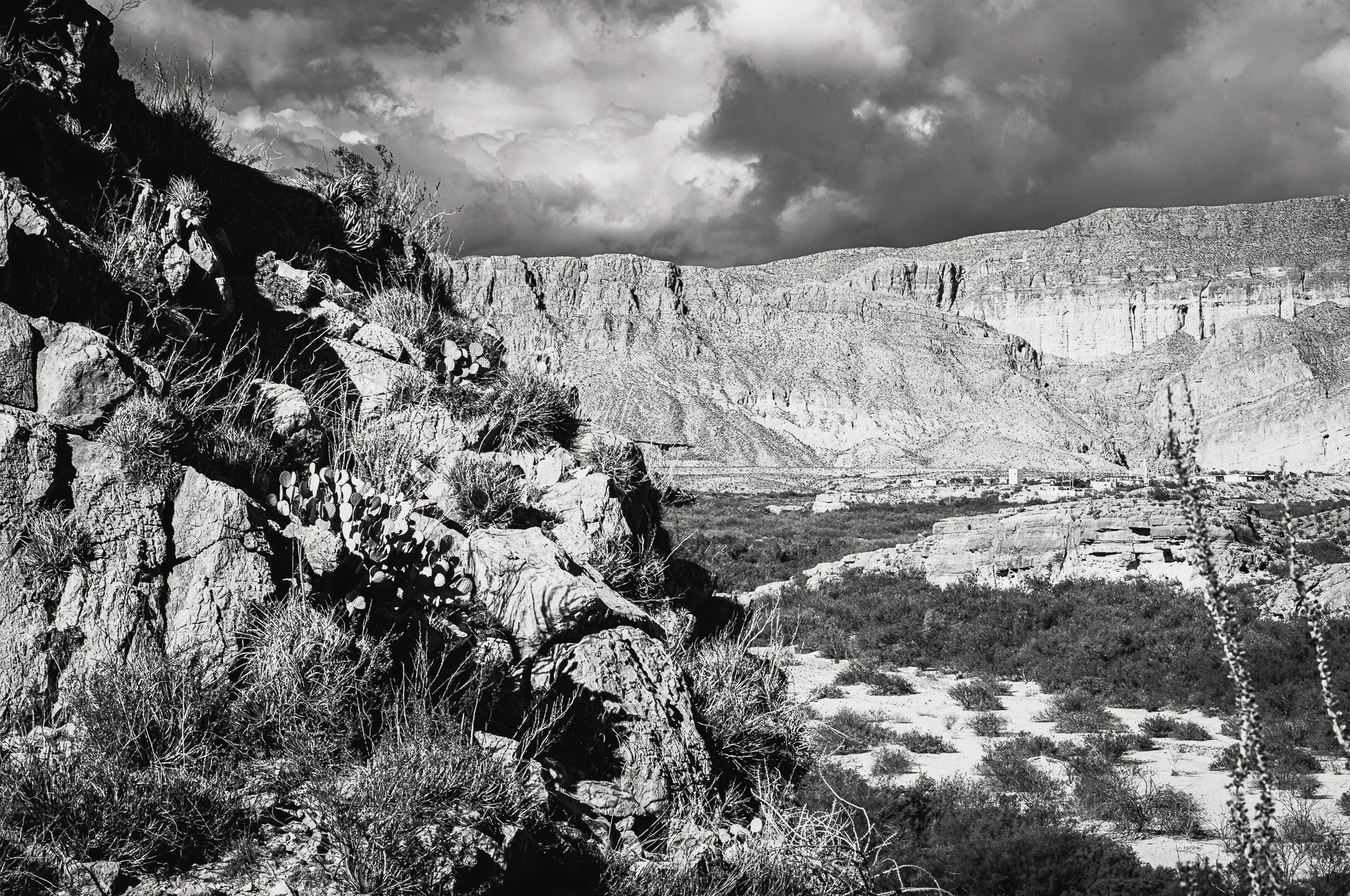 L1003215.jpg