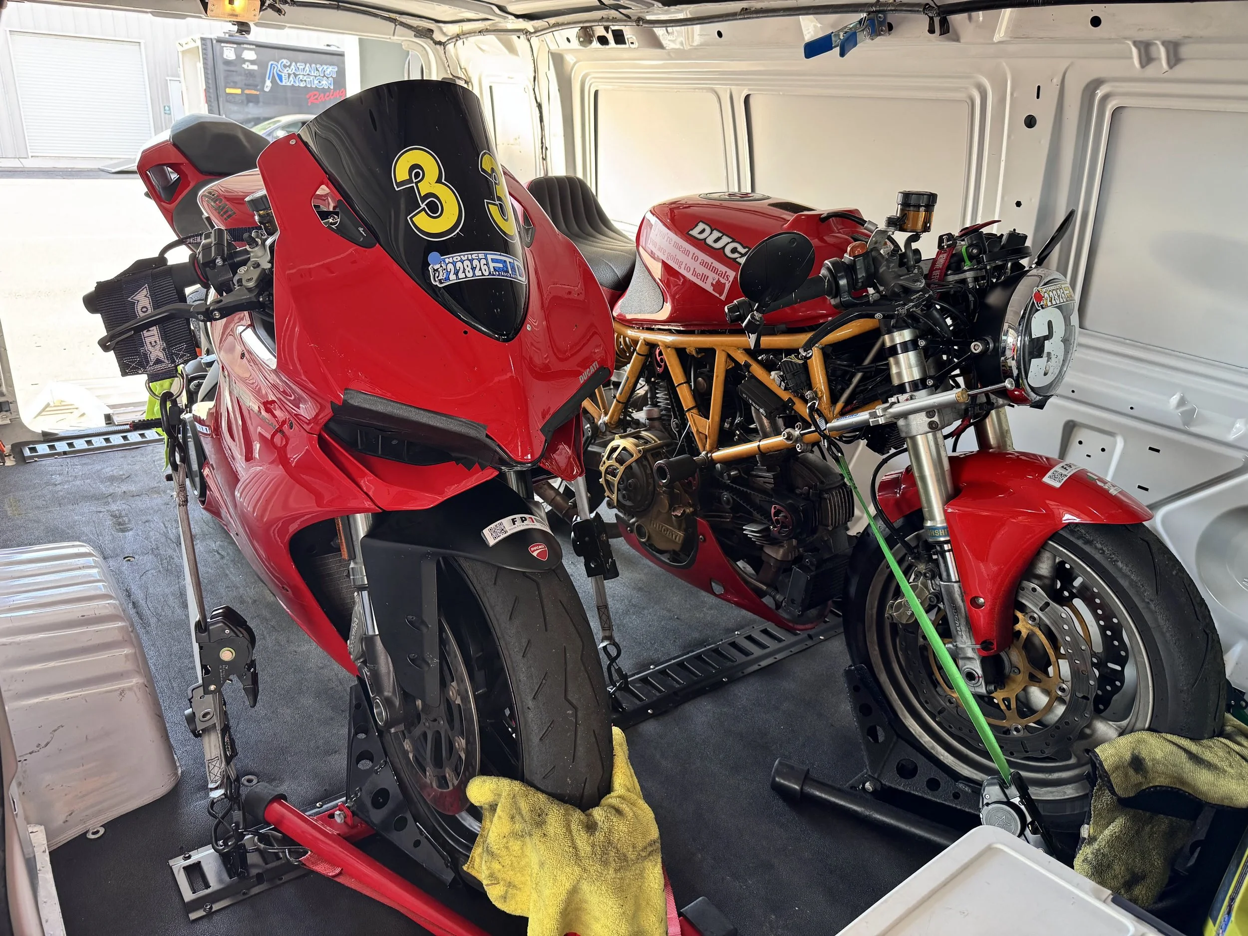 Inside the cargo van of 31 cats