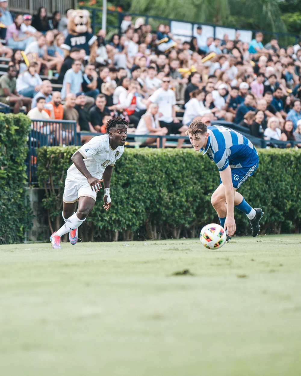 FIU Athletics photography by Hunter DuBois