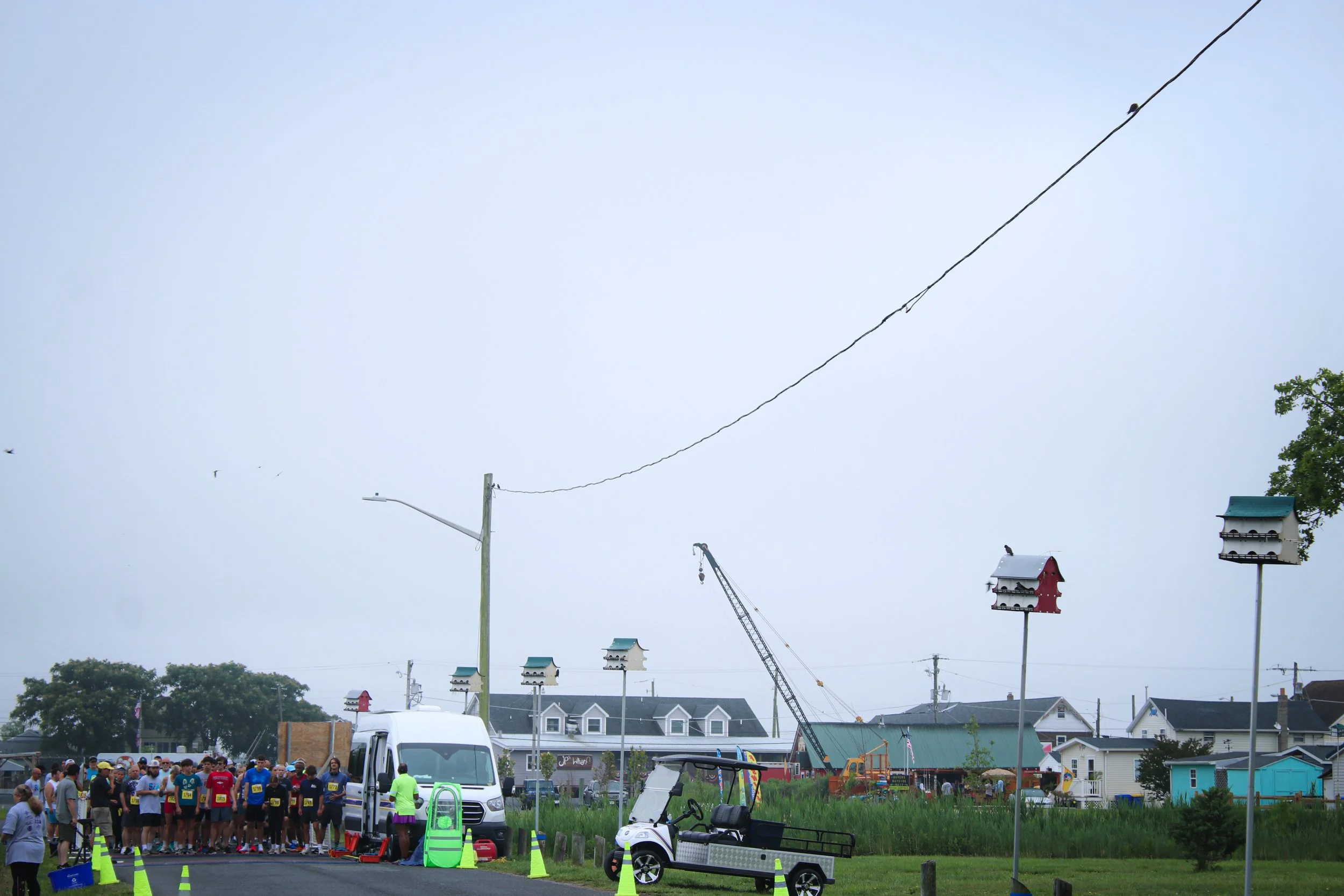 IMG_8966.jpg