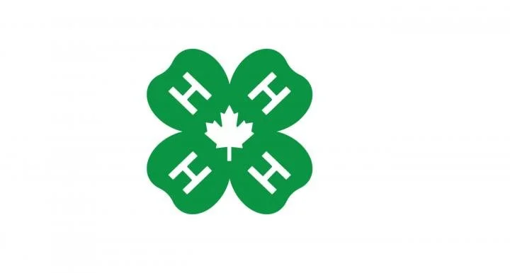 4H