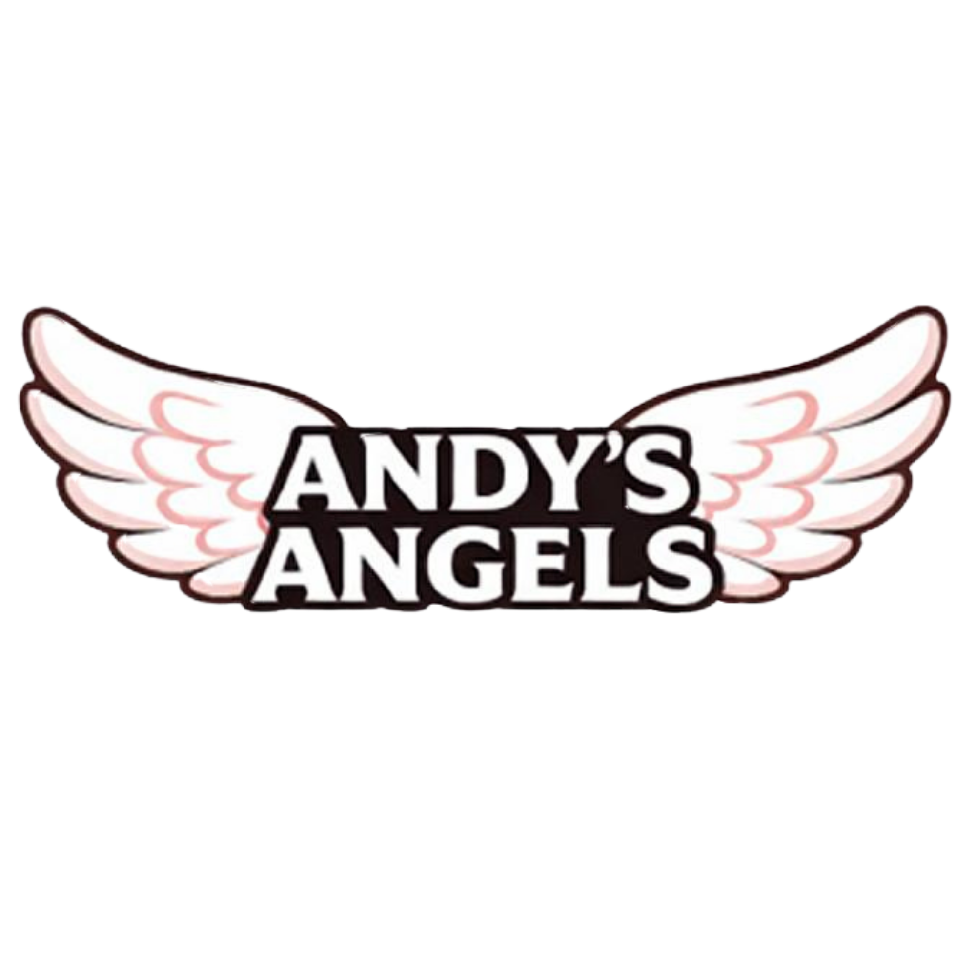 Andy's Angels