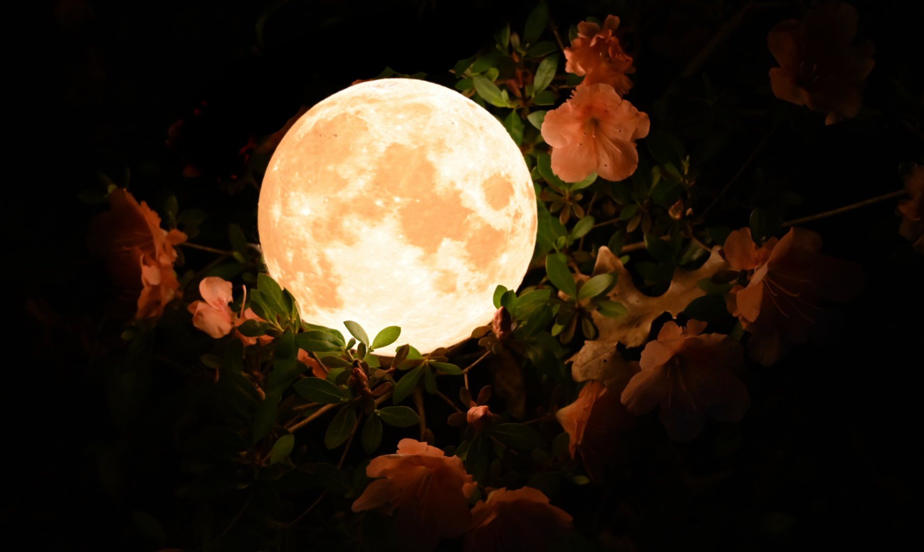 jacobmoon.png