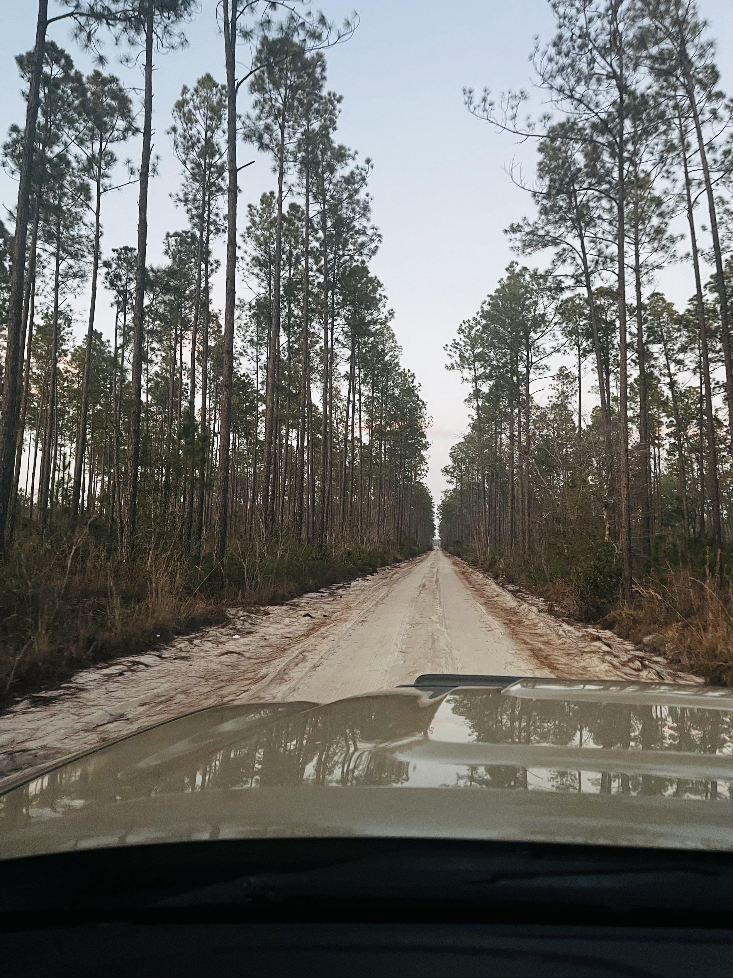 The Roads That Shape Us: Fear, Faith, and the Call to Walk Forward