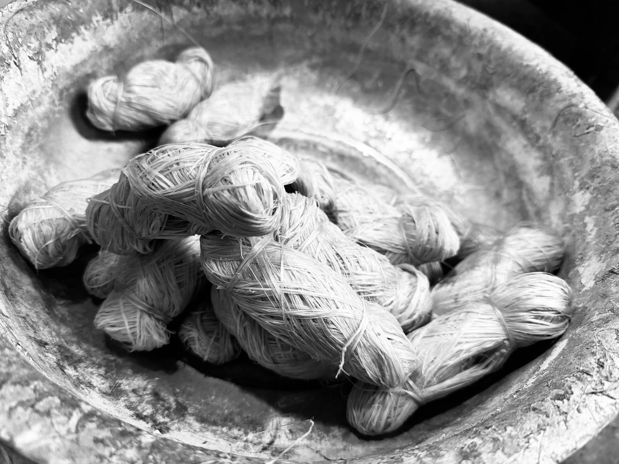 Weixin Image_20260331125435_920_4.jpg