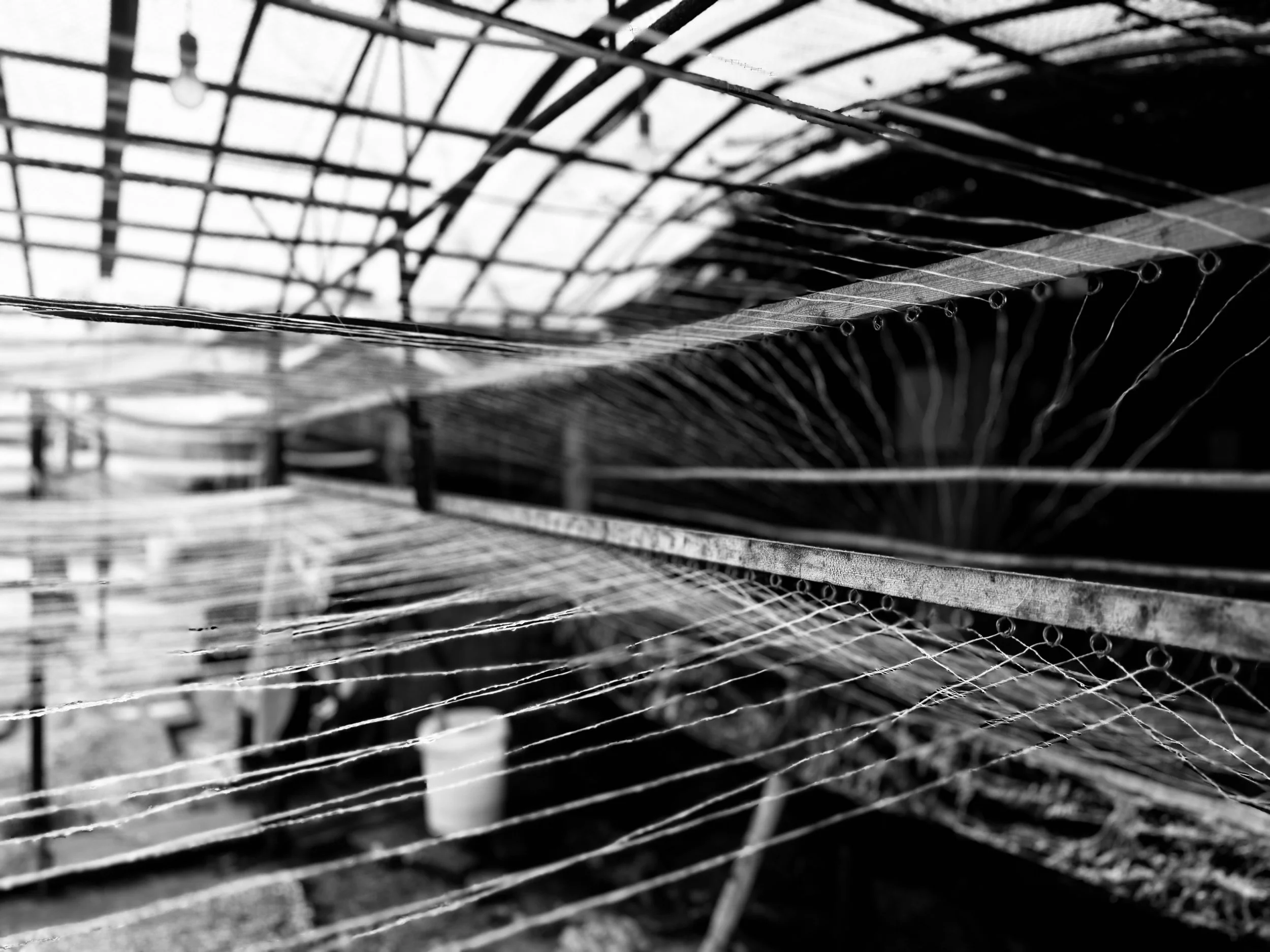 Weixin Image_20260331125503_923_4.jpg