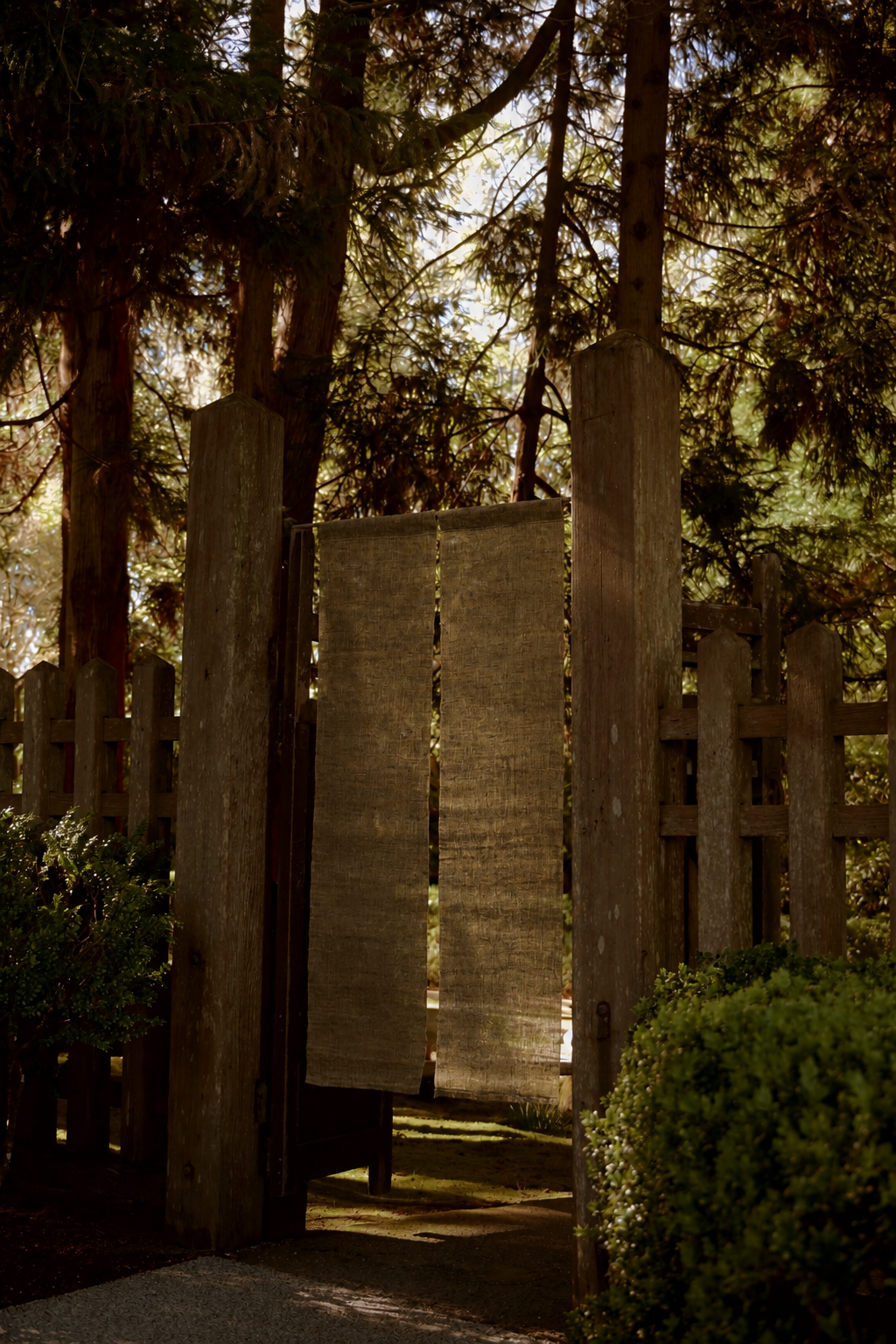 Hand-woven Ramie Noren Curtain - Plant Dyed with Pagoda Flower
