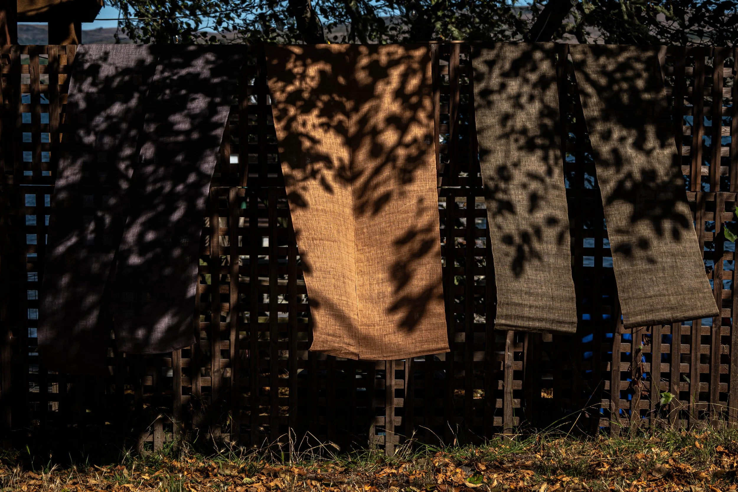 DSC_3152.jpg