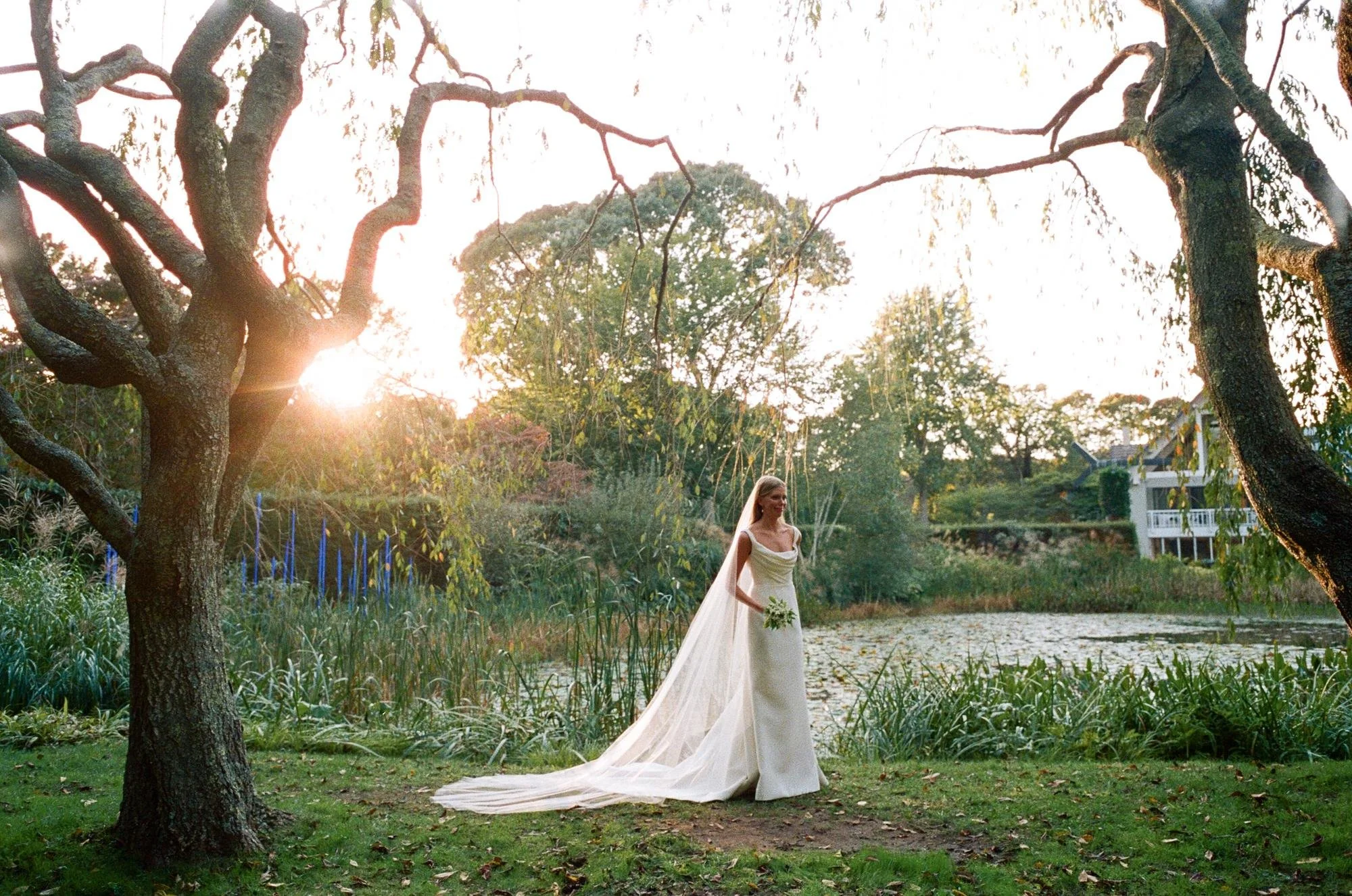 Bride by the pond in golden light under an old tree in East Hampton