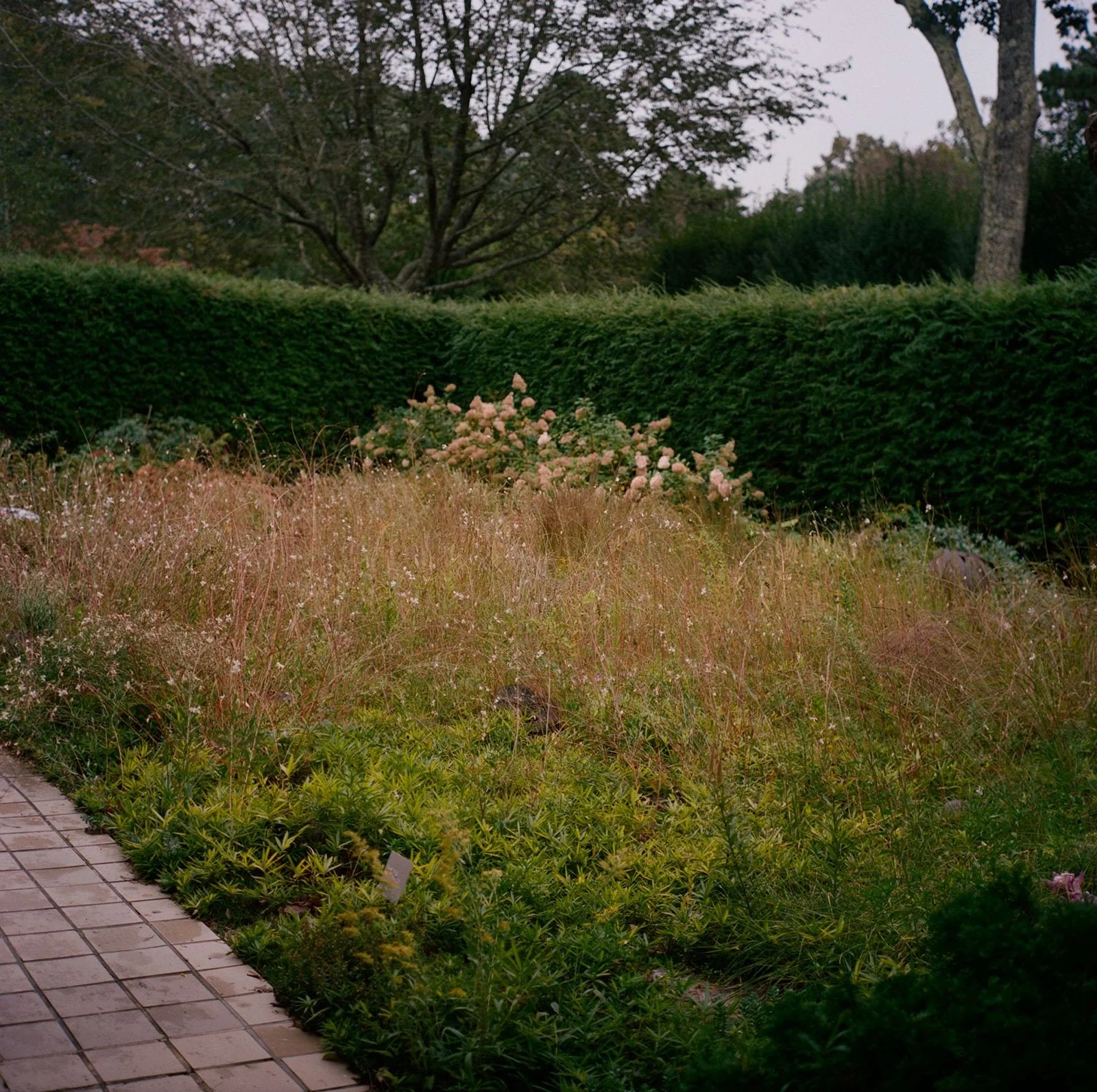 longhouse-reserve-wedding-meadow-and-hedge-09.jpg