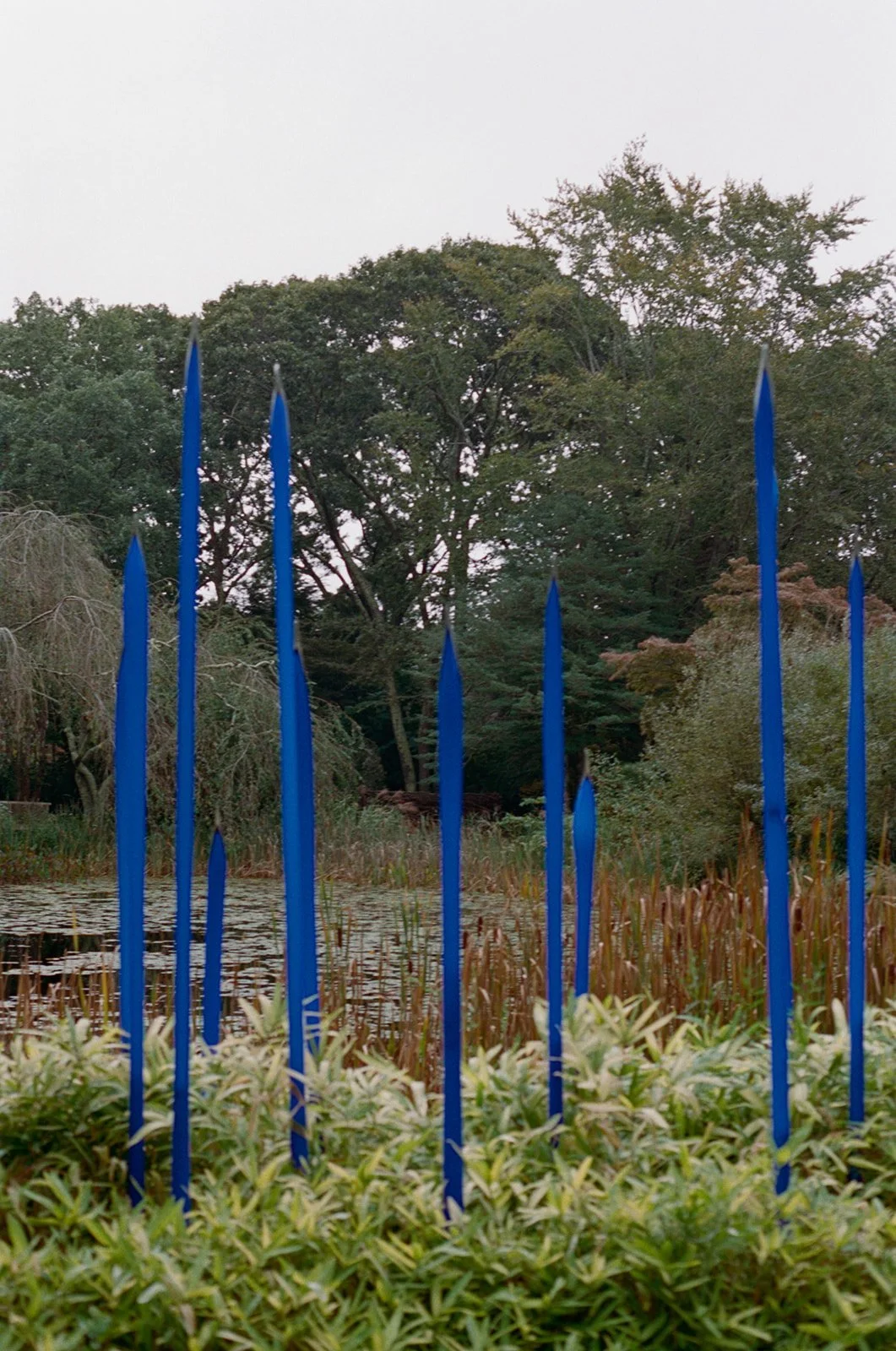 longhouse-reserve-wedding-blue-glass-reeds-18.jpg