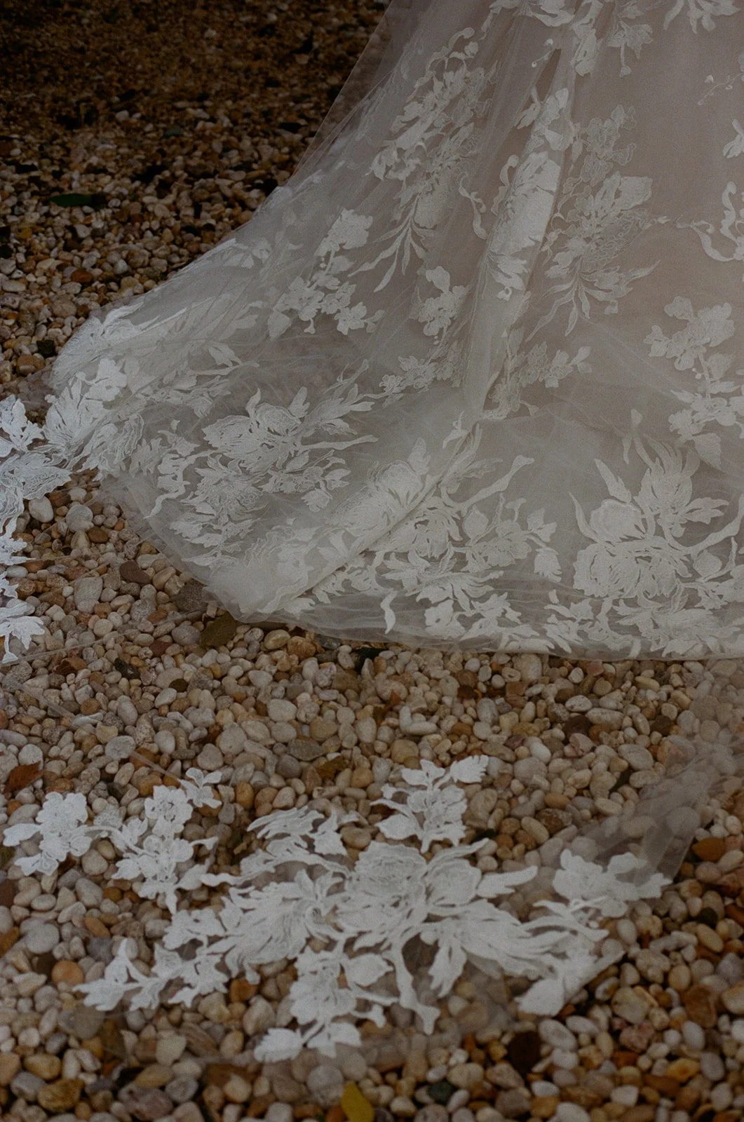 longhouse-reserve-wedding-lace-train-petals-30.jpg