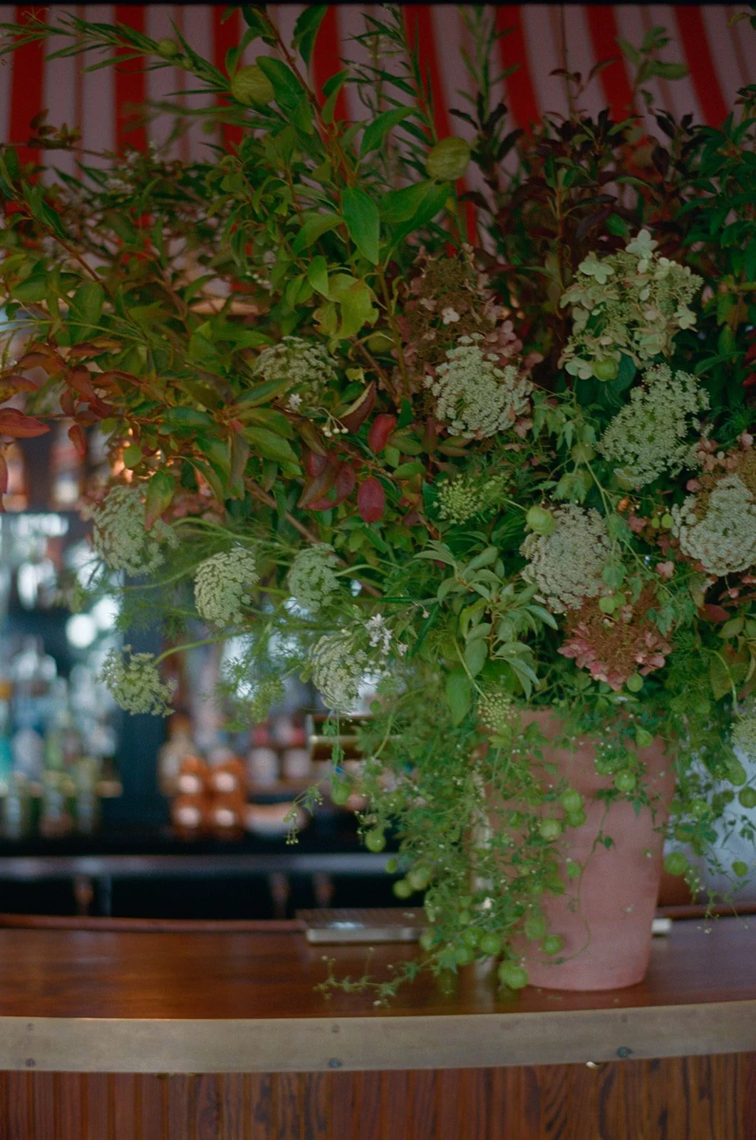 pridwin-hotel-wedding-flowers-bar-lights-83.jpg