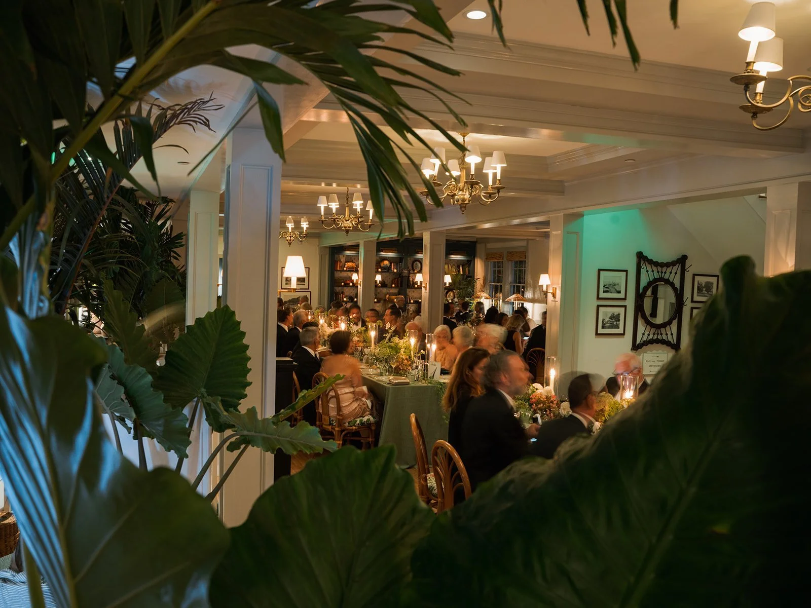 pridwin-hotel-wedding-dinner-through-palms-77.jpg