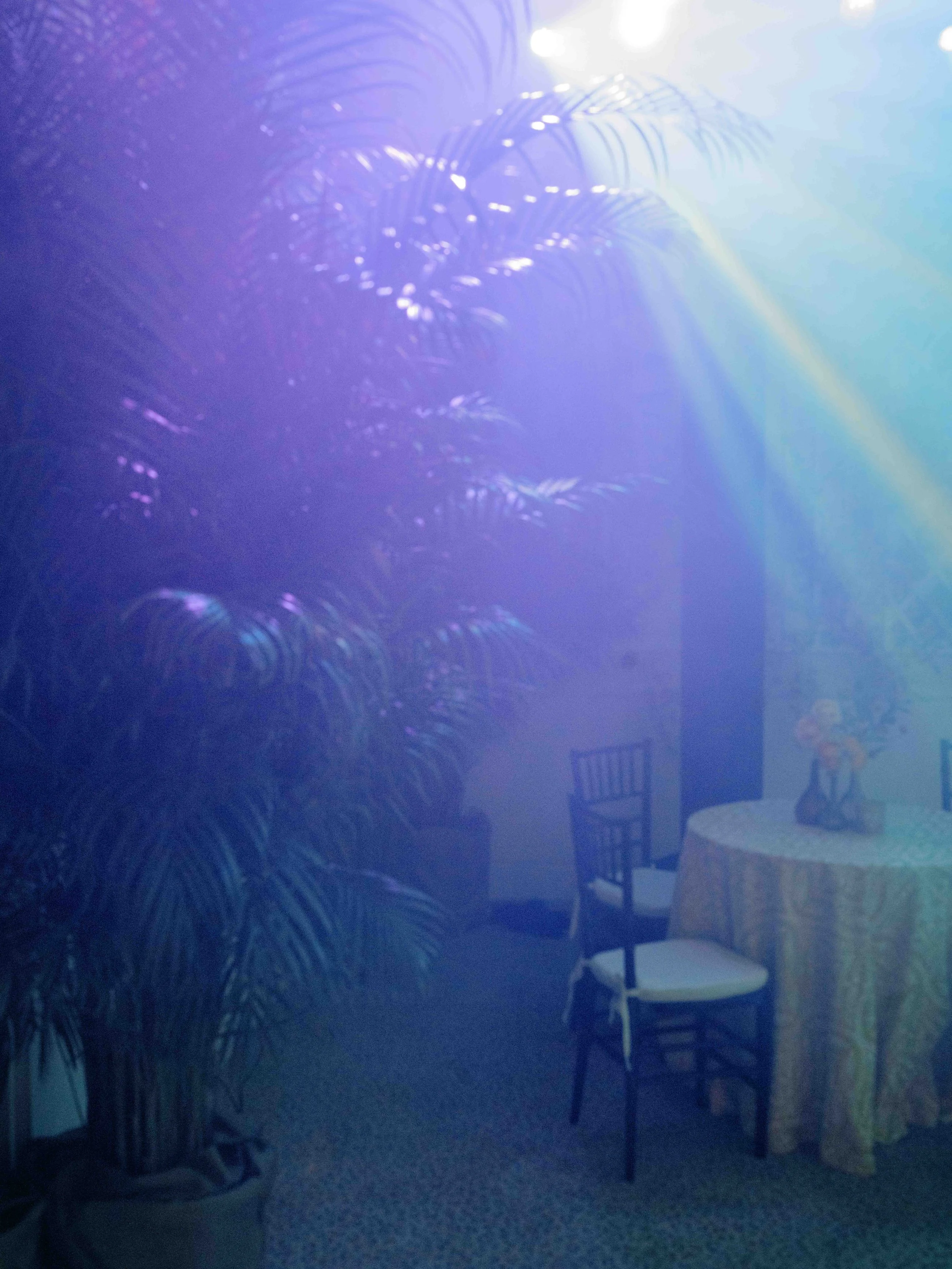 401-lyford-cay-club-wedding-reception-bahamas-by-trent-bailey-nyc-wedding-photographer.JPG