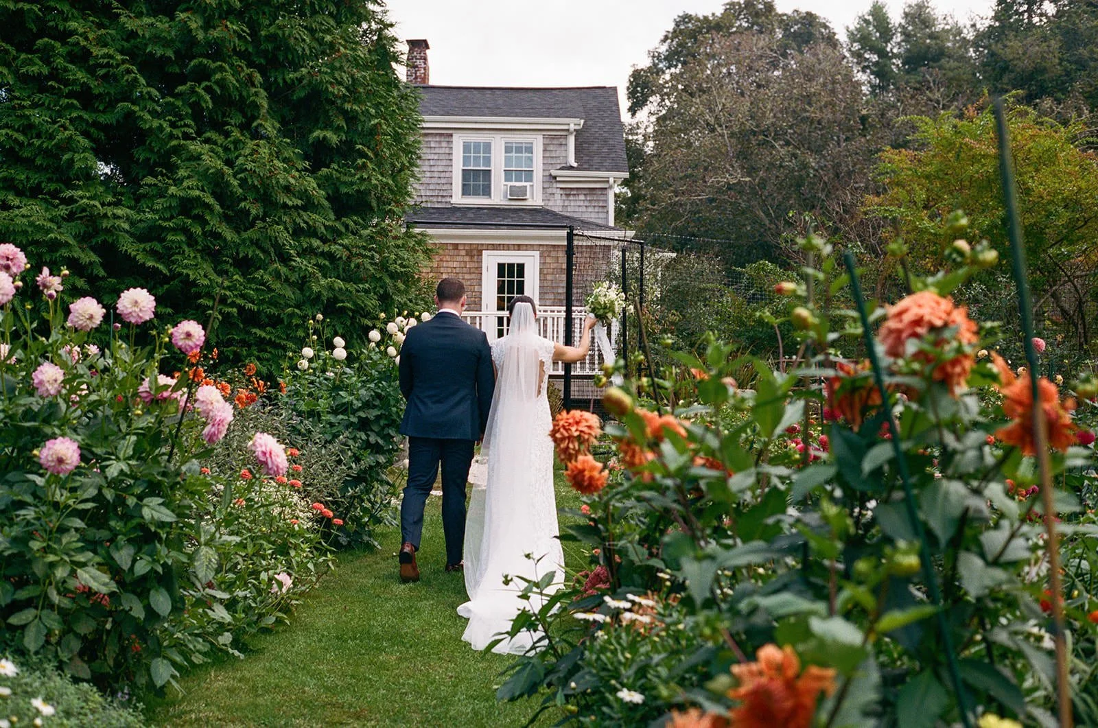Bride tapping the groom on the shoulder in the dahlia garden at Lambert's Cove Inn
