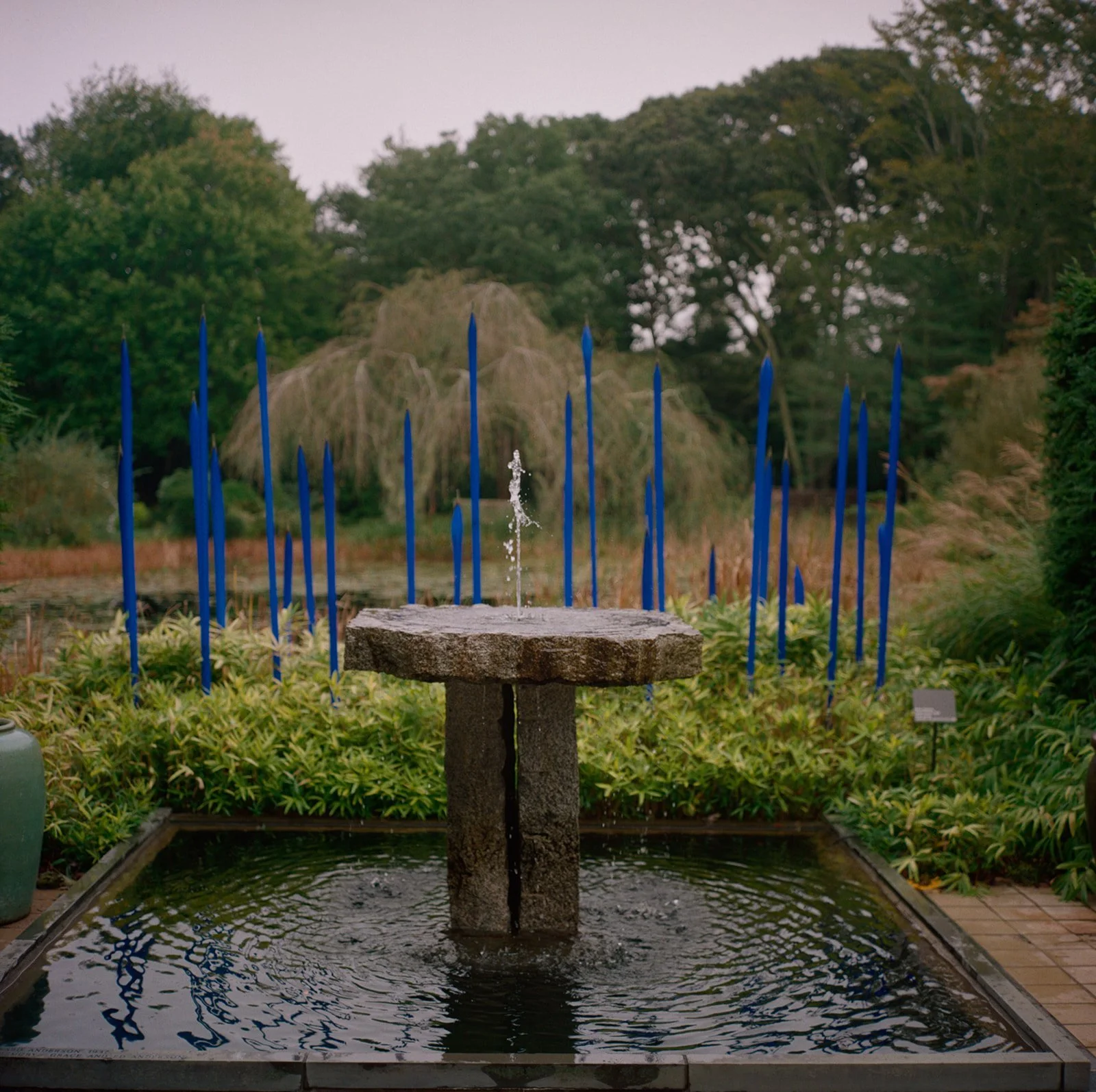 Stone fountain and reflecting pool with blue glass reeds behind at LongHouse Reserve