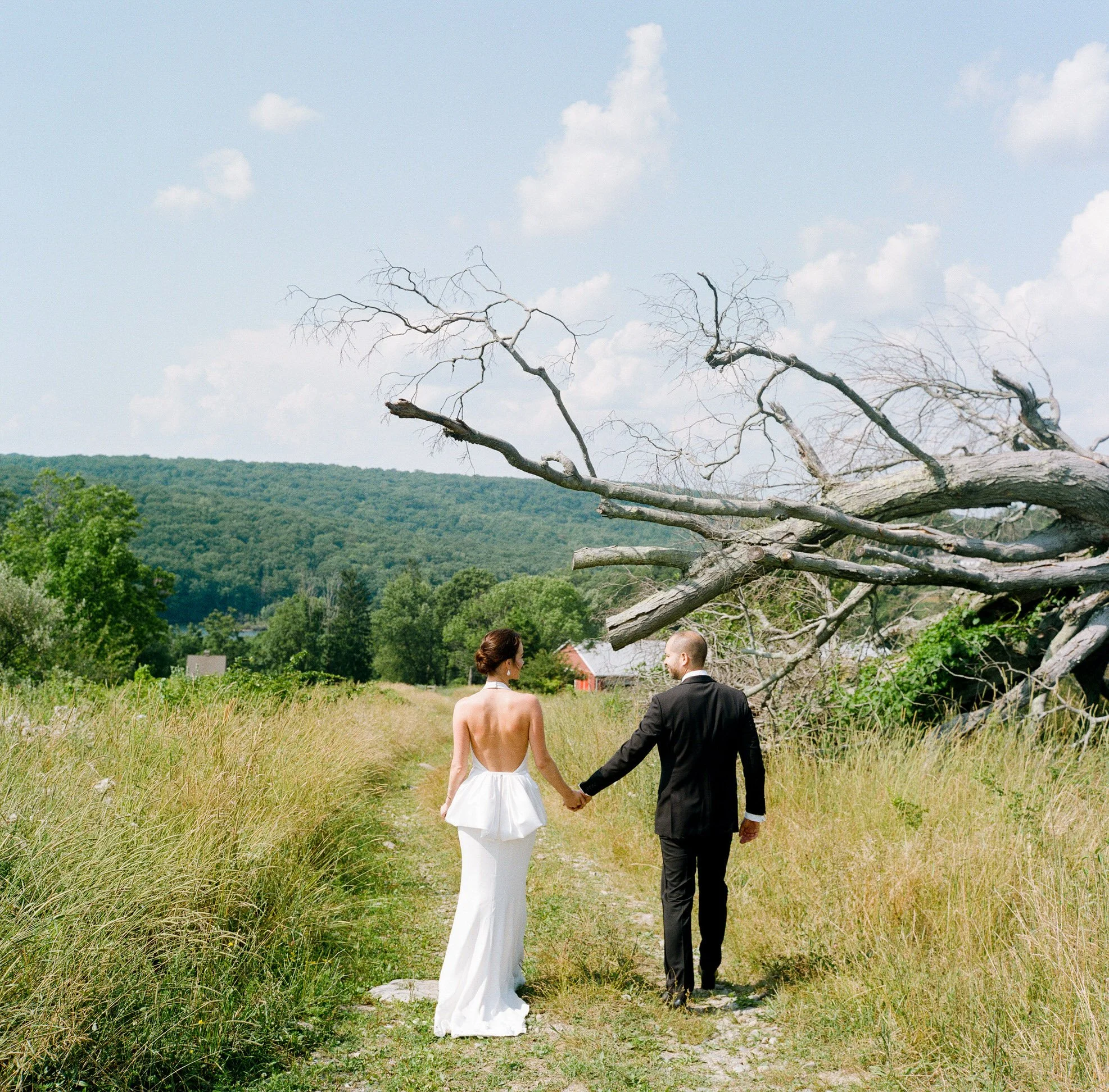 Bride and groom walking hand in hand through a tall grass field at Glynwood Farm in Cold Spring, NY