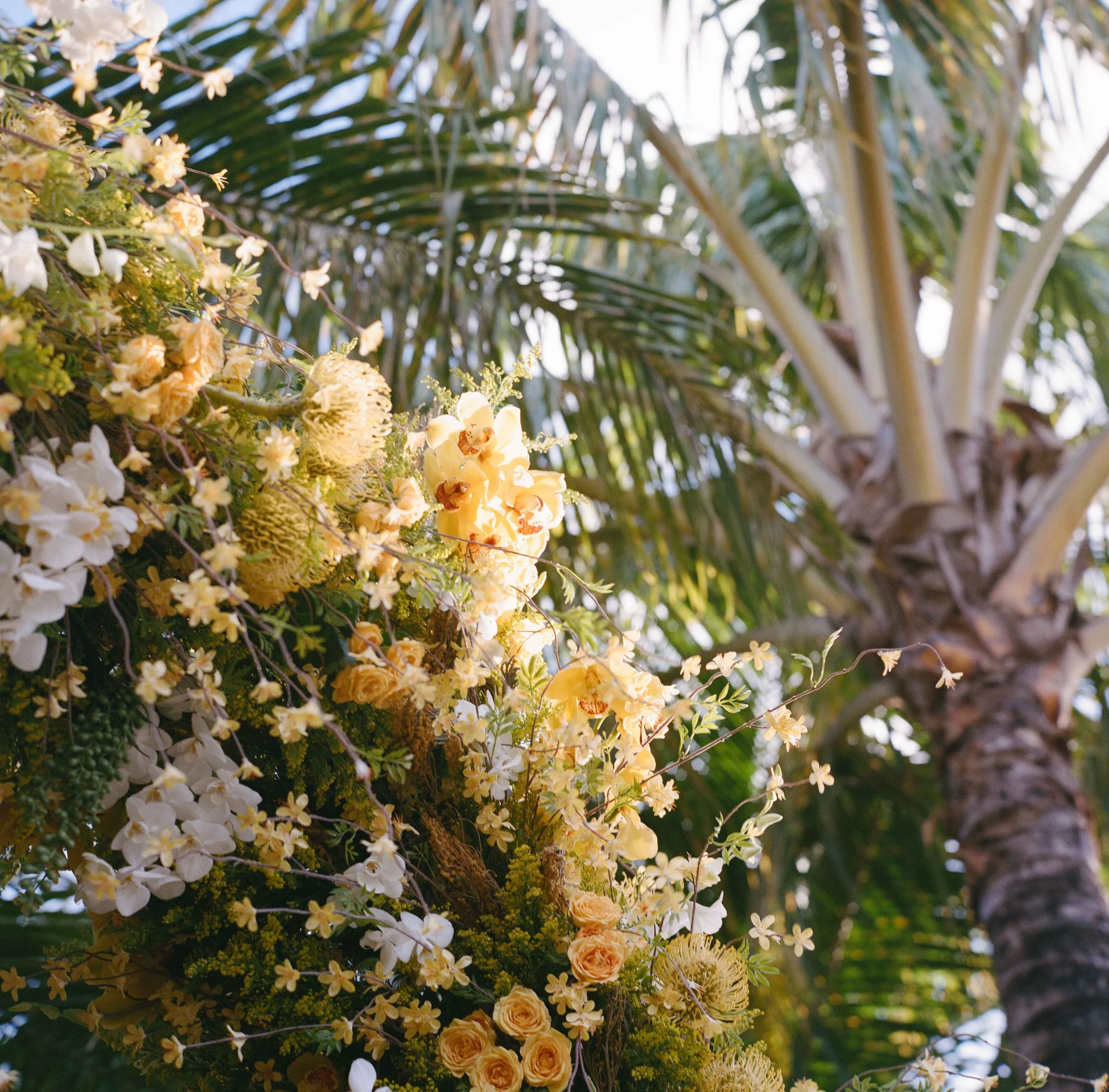212-lyford-cay-club-wedding-ceremony-bahamas-by-trent-bailey-nyc-wedding-photographer.JPG