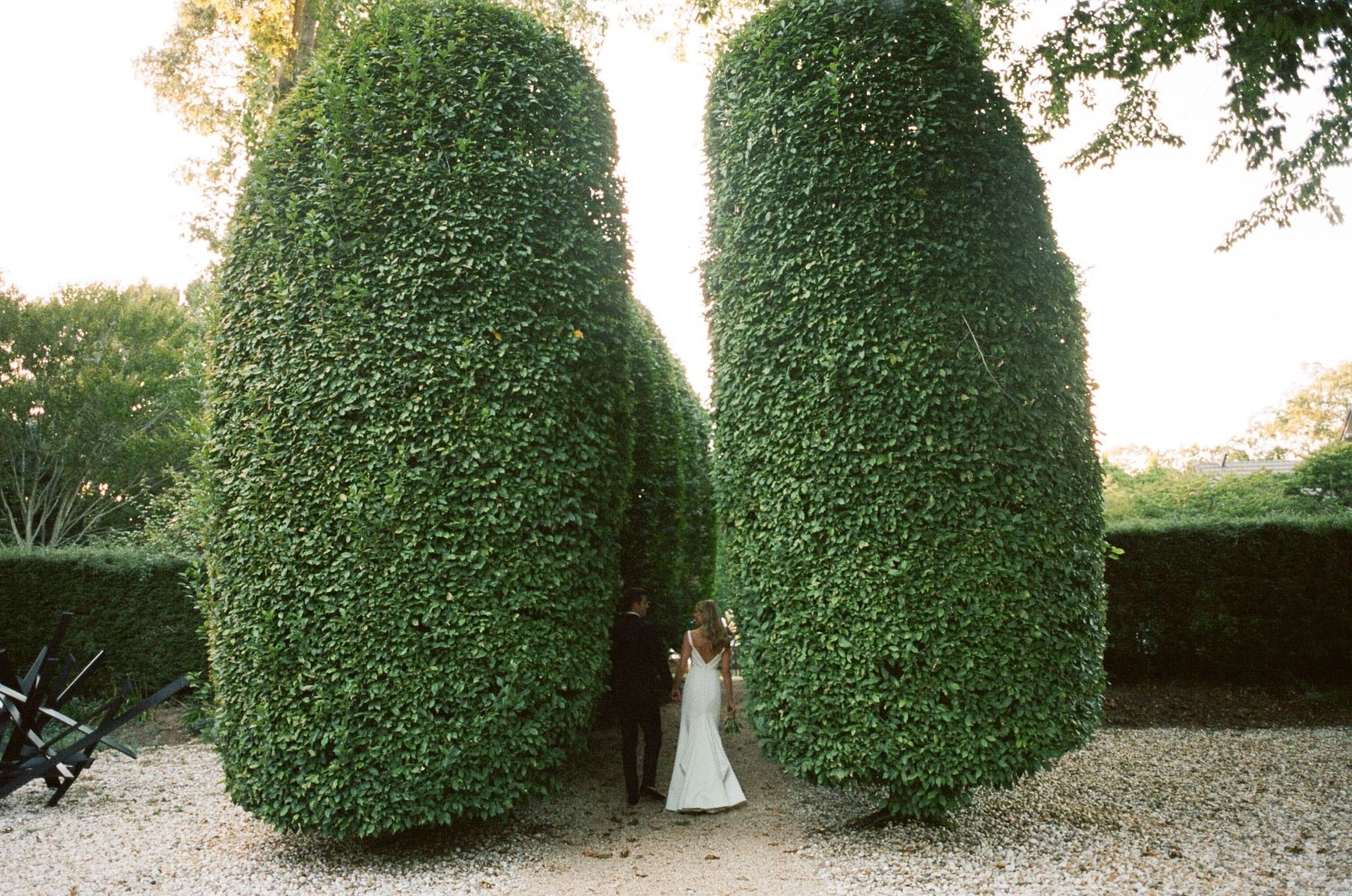 Bride standing between two giant clipped hedges in East Hampton