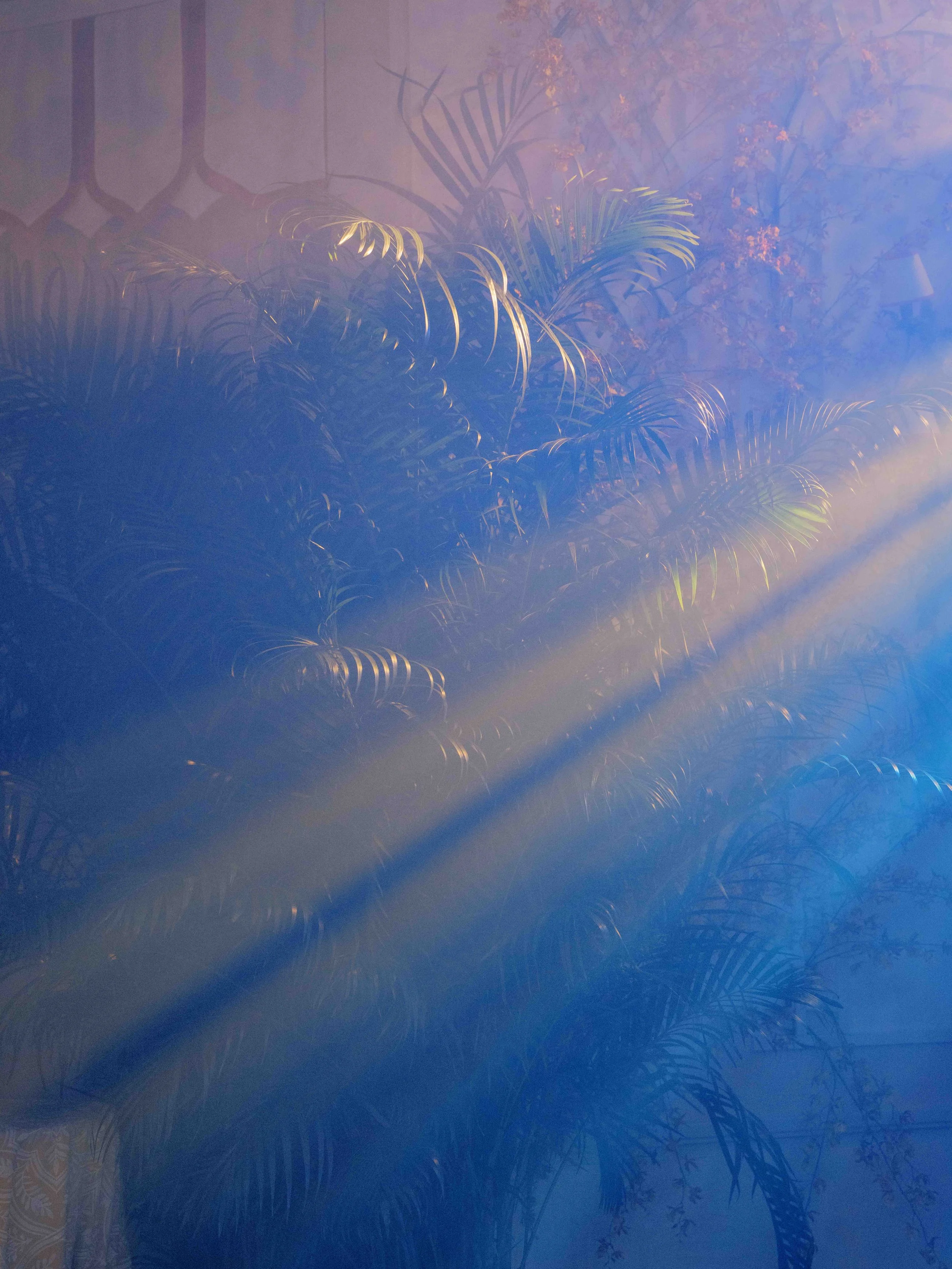 403-lyford-cay-club-wedding-reception-bahamas-by-trent-bailey-nyc-wedding-photographer.JPG