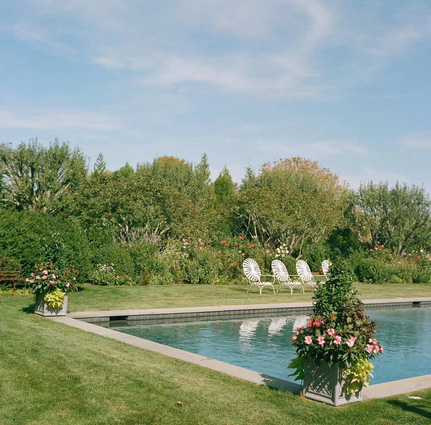 Pool and garden beds with white lounge chairs at an East Hampton home