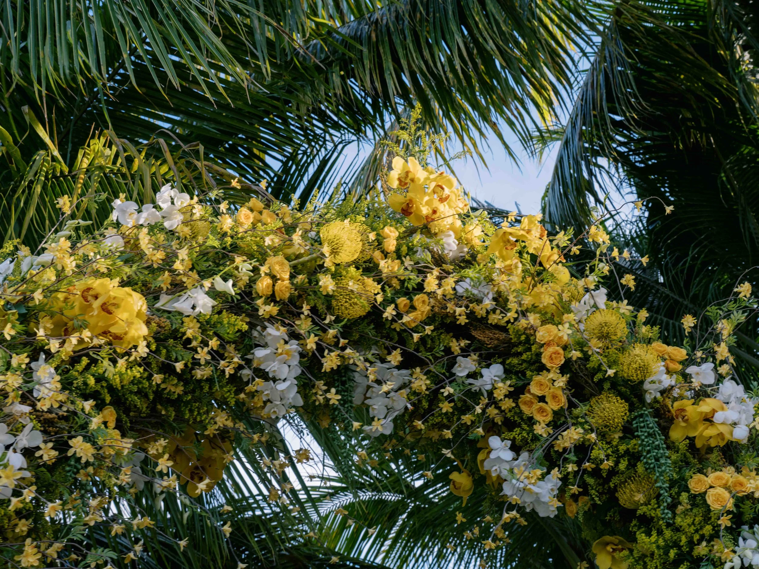 203-lyford-cay-club-wedding-ceremony-bahamas-by-trent-bailey-nyc-wedding-photographer.JPG