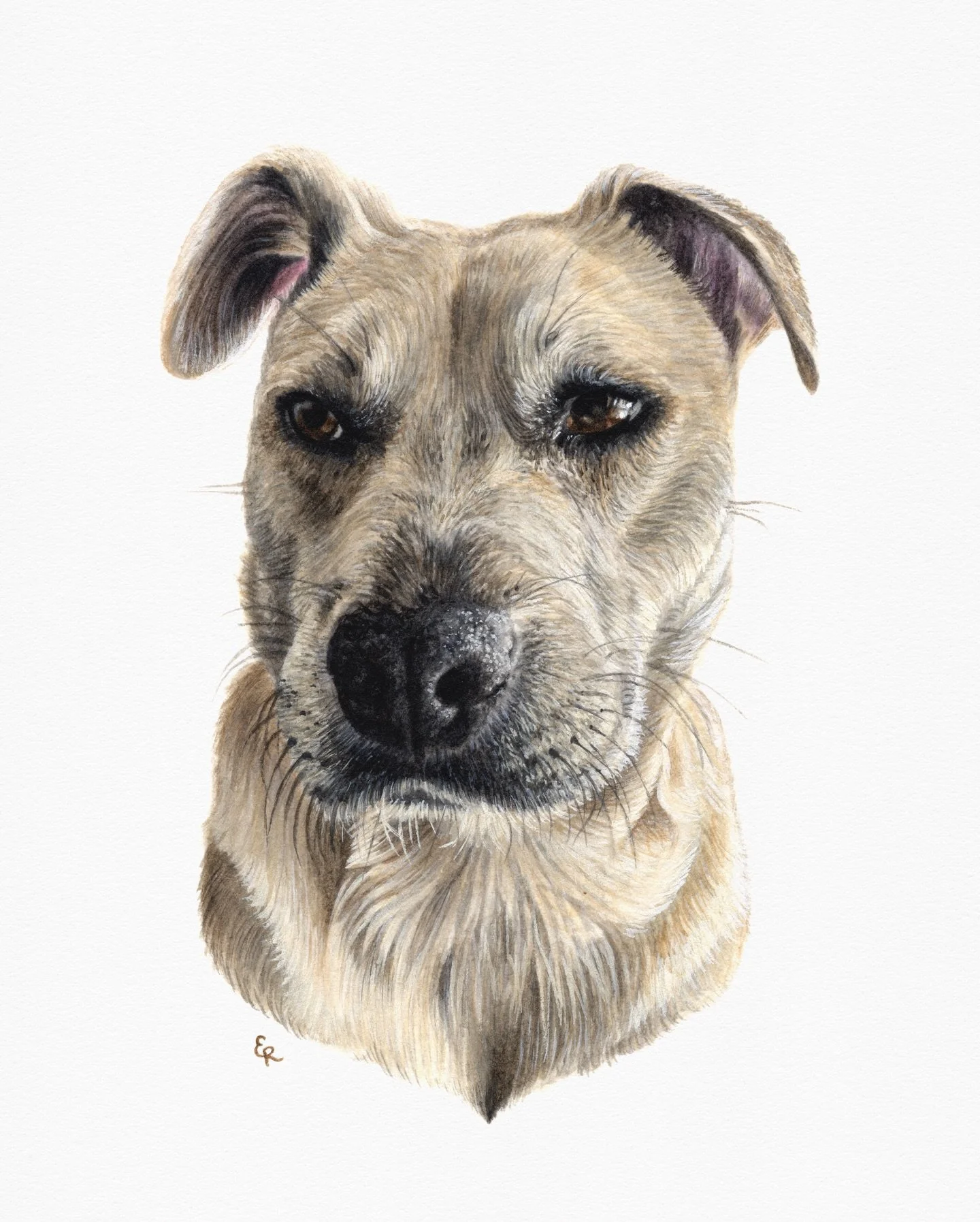 Jenna 🐾 

4x6&rdquo; watercolor

#watercolor #petportrait #dogsofinstagram