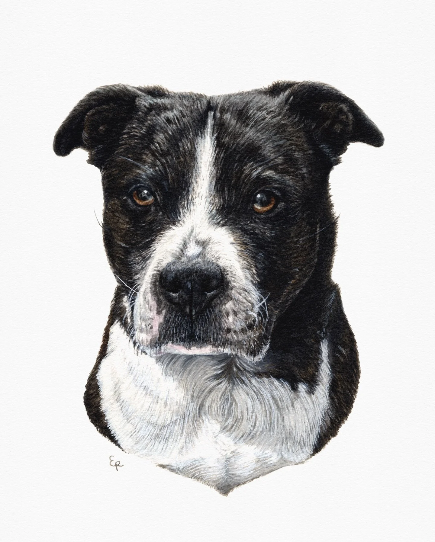 Uno 🐾

4x6&rdquo; watercolor

#watercolor #petportrait #petpainting #watercolorpainting #winsorandnewton #animaldrawing #animalpainting #dog  #dogsofinstagram #dogwatercolor