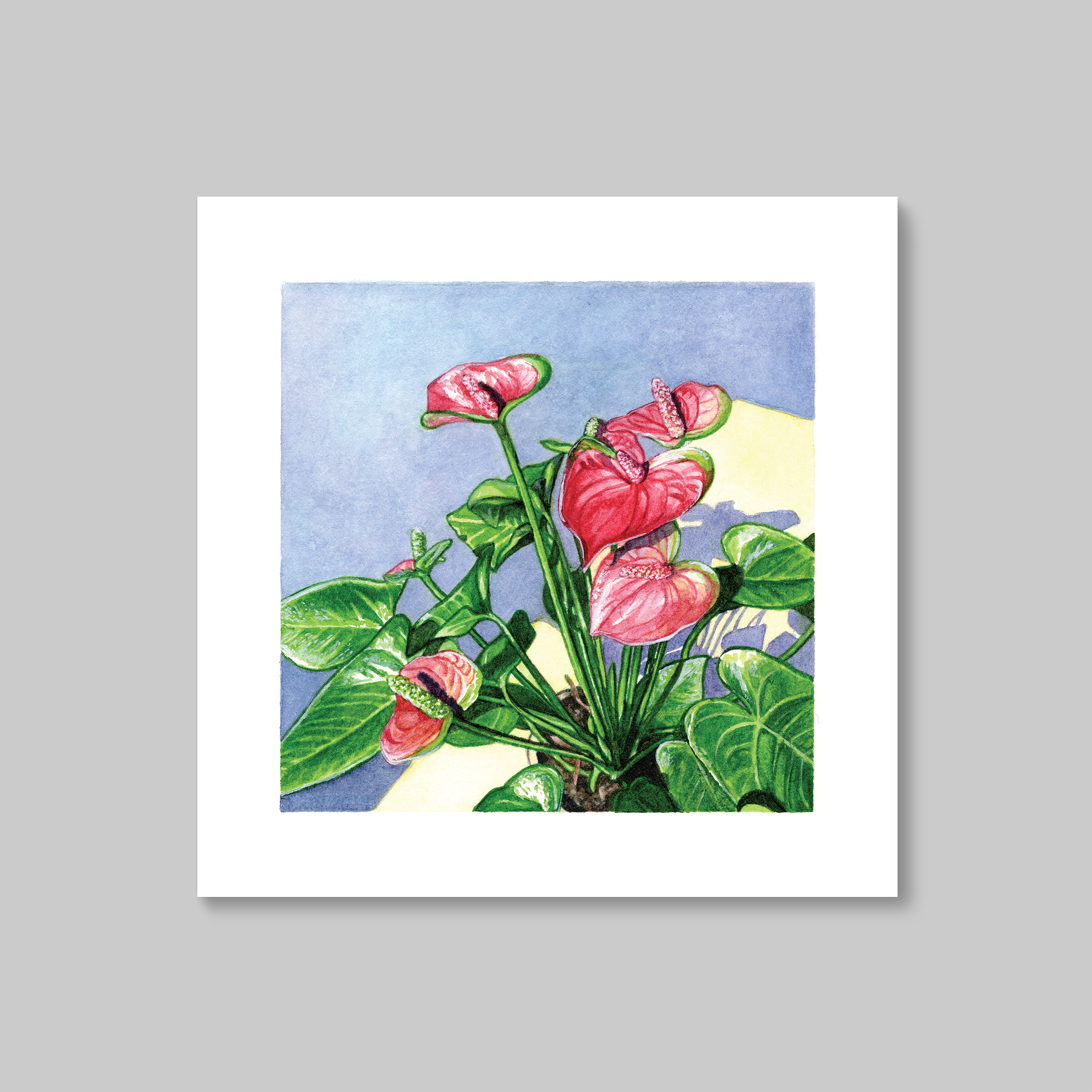 Anthurium Print