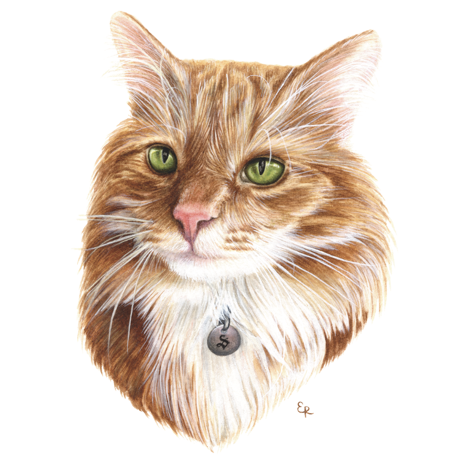 Screenshot 2025-12-05 at 9.50.31 PM.png