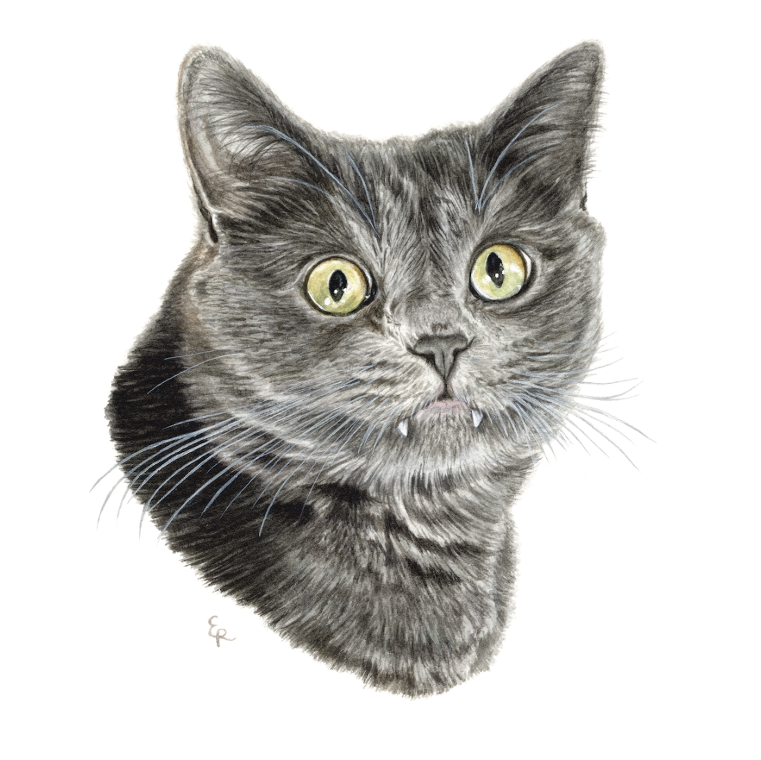 Screenshot 2025-12-05 at 9.51.12 PM.png