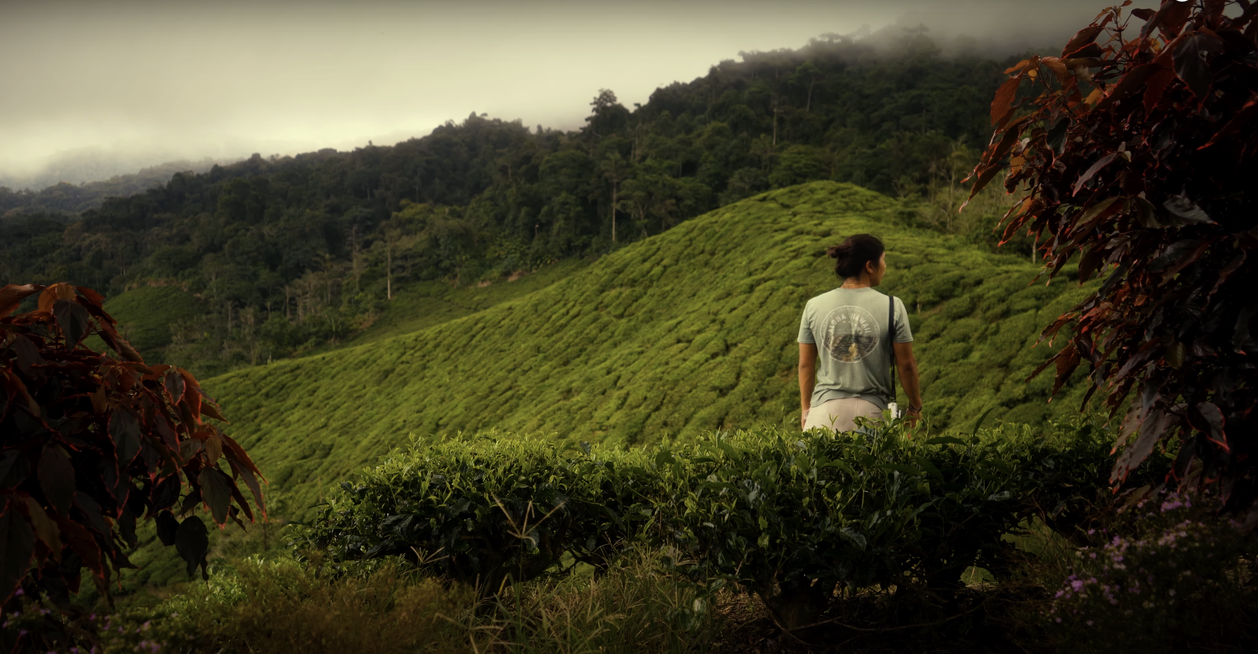 Screenshot 2025-04-30 at 11.58.02 AM.png