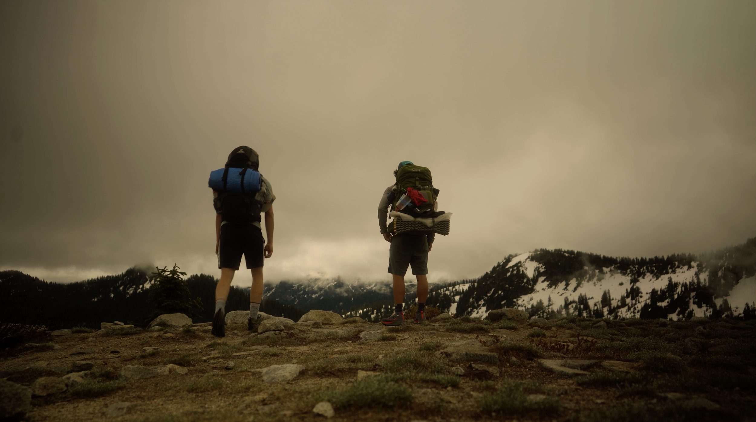 Screenshot 2025-04-17 at 10.15.55 AM.png