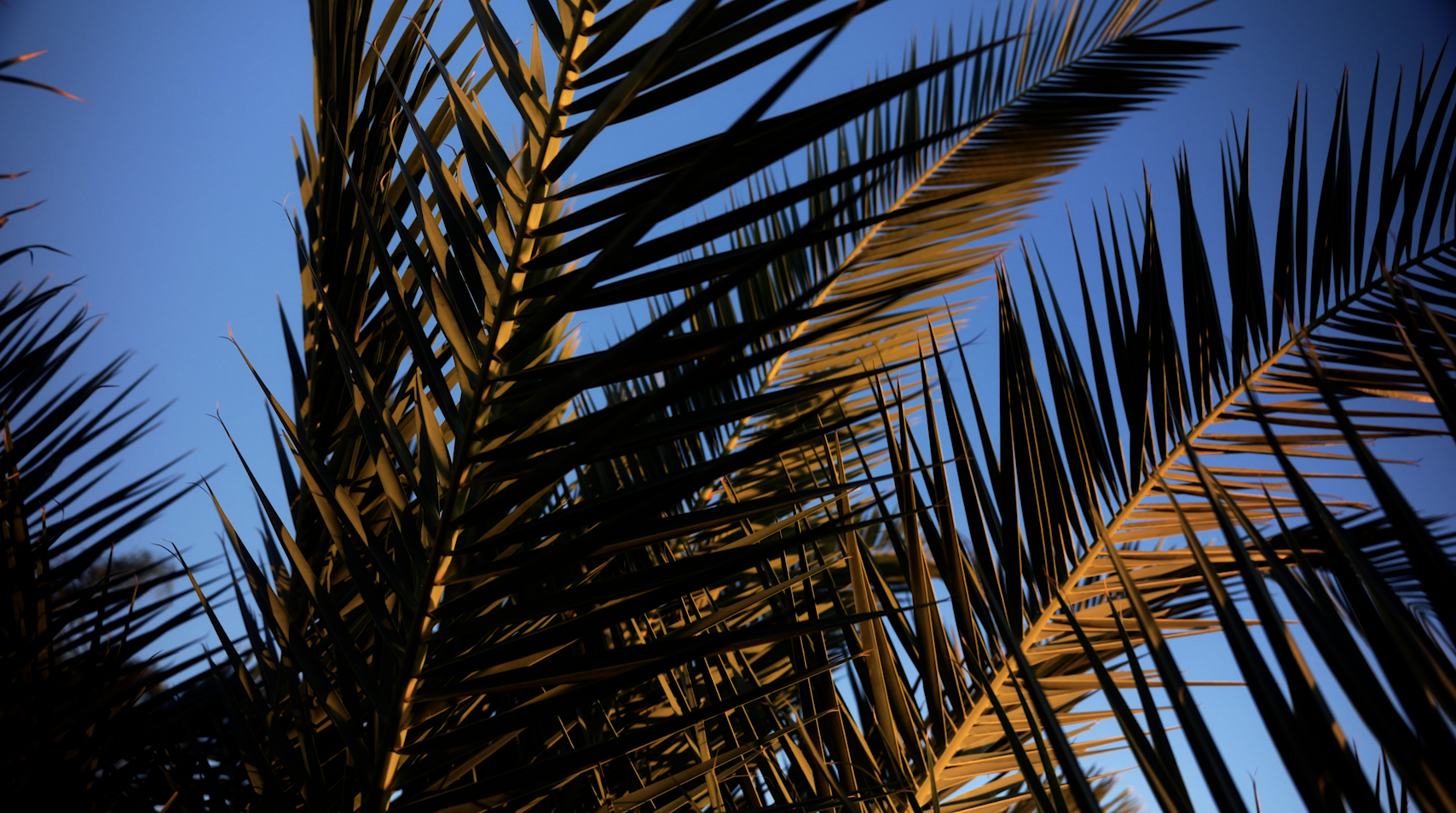 Screenshot 2026-01-09 at 2.05.55 PM.png