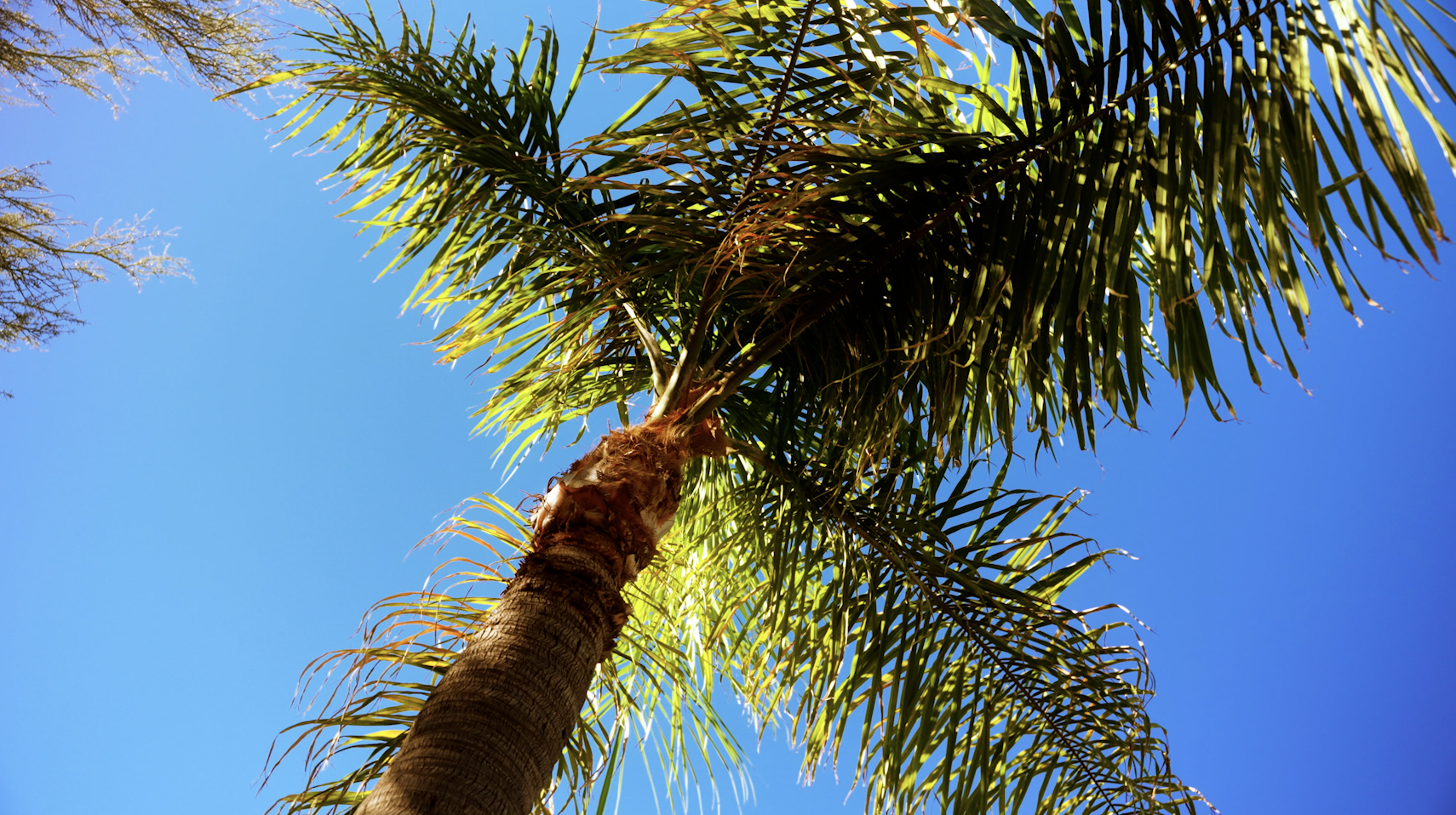 Screenshot 2026-01-09 at 2.06.59 PM.png