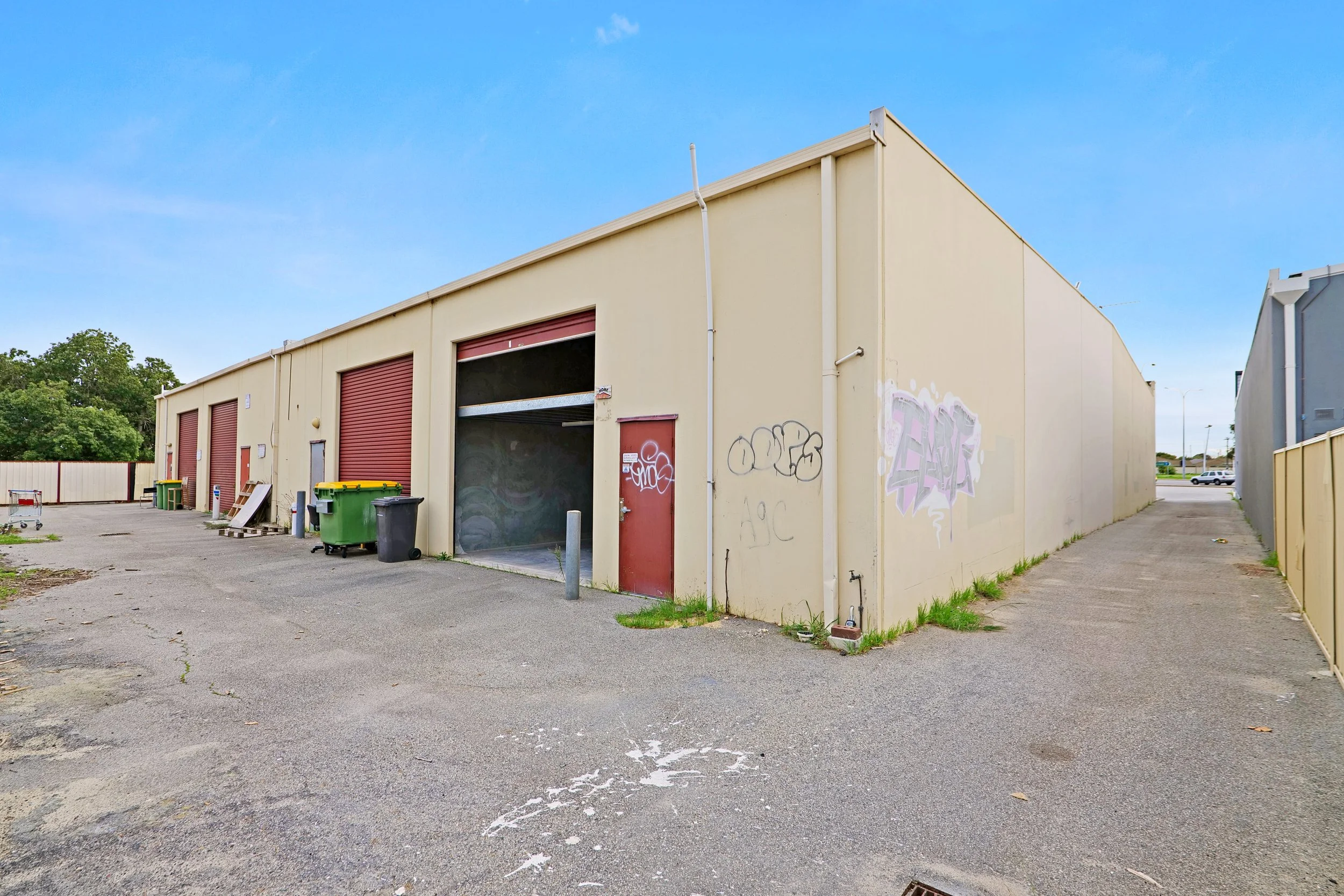P1556201.jpg