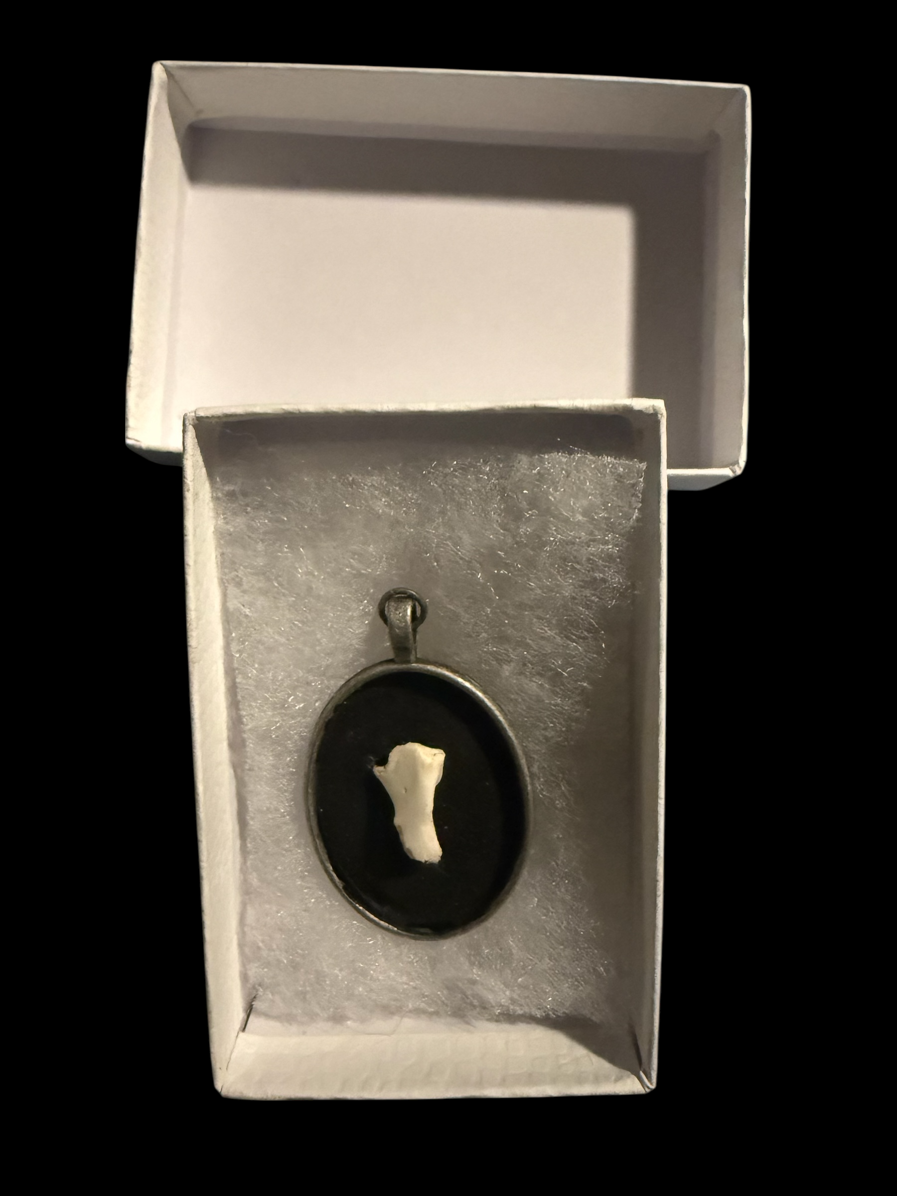 Photoroom_20260316_220304 2.PNG