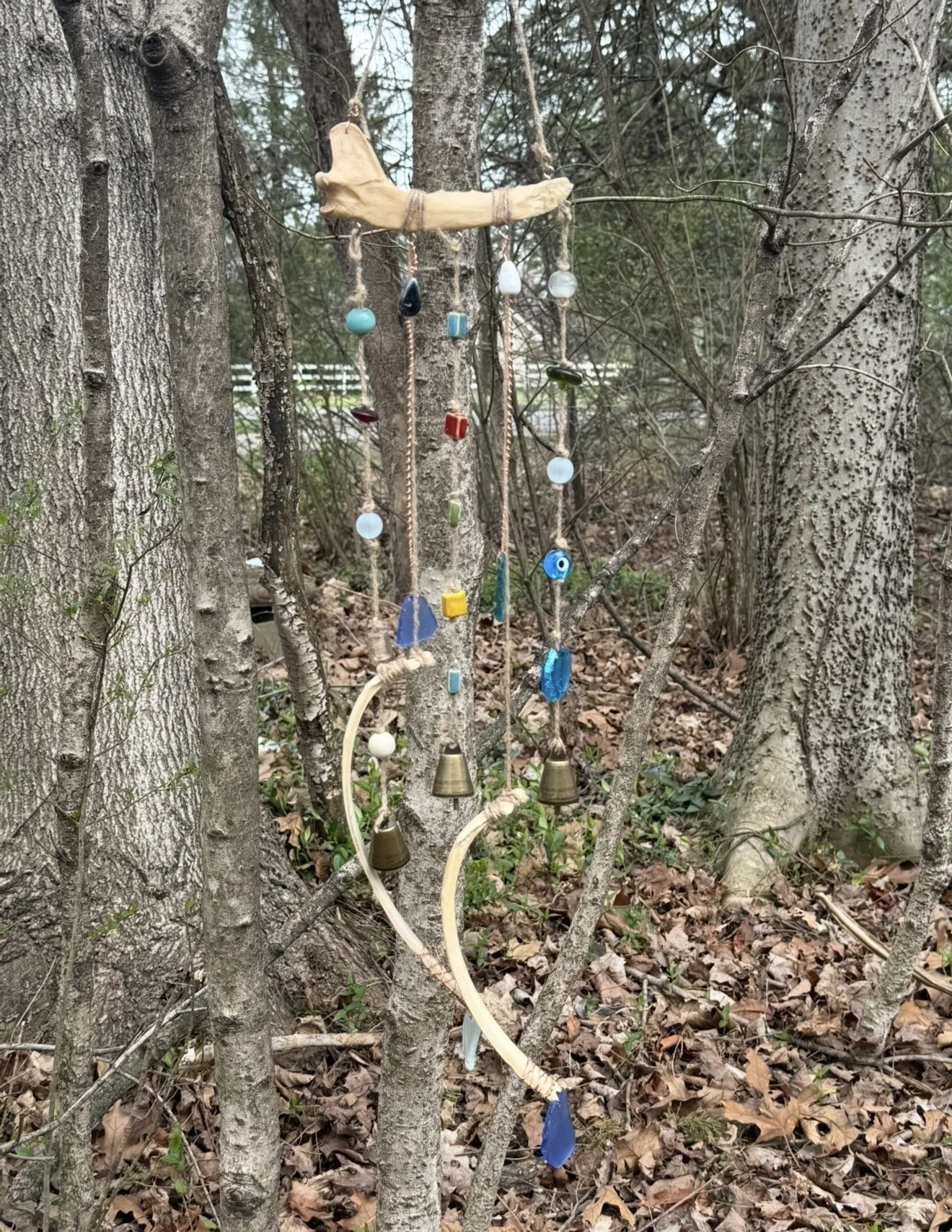 Appalachian Coyote Jaw Bone Wind Chime Wall Hanging – Deer Rib Bones, Bells & Frosted Glass – Witchy Garden Decor – Oddities Decor