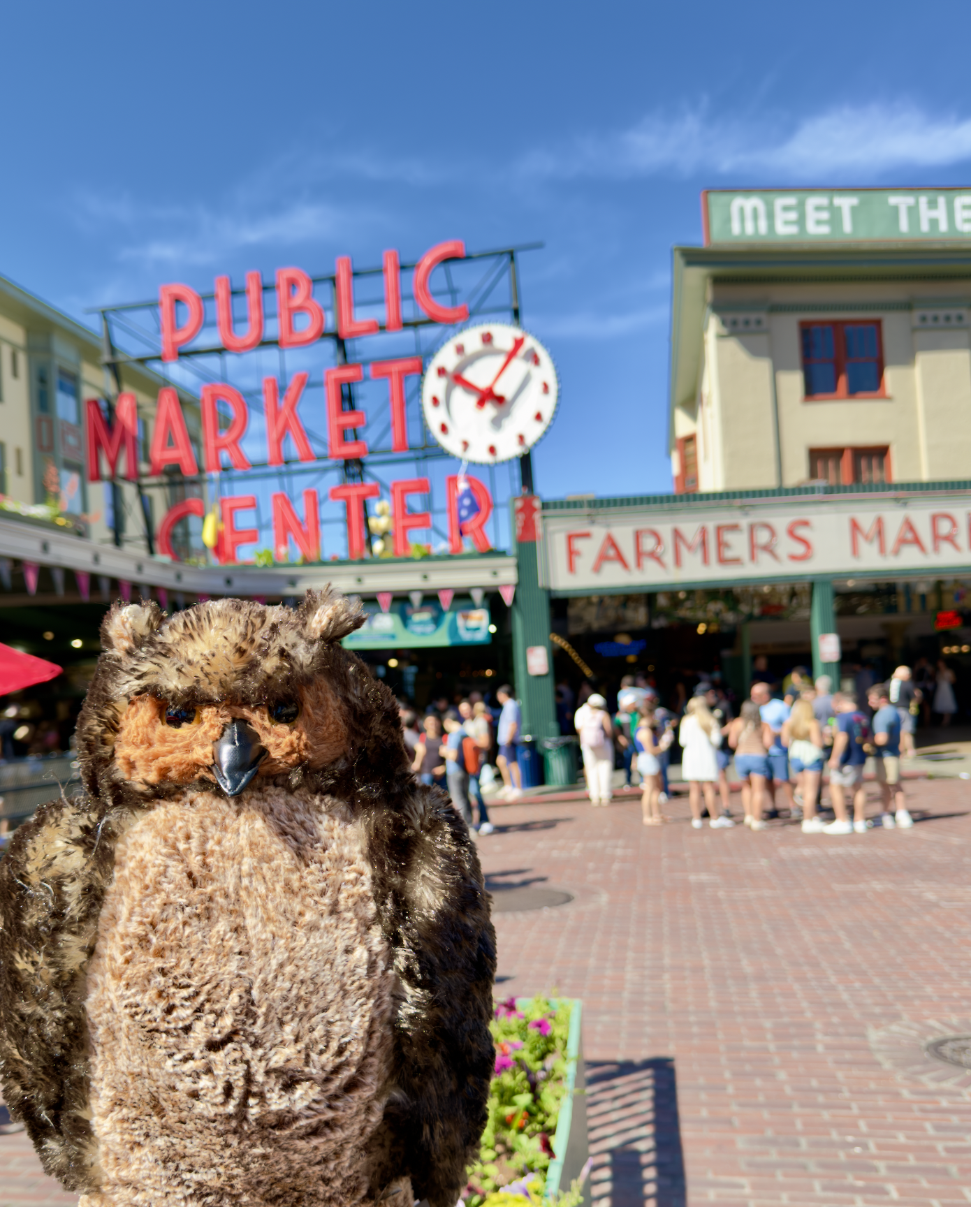 FedWise Owl mascot at Pike Place Market in Seattle Washington