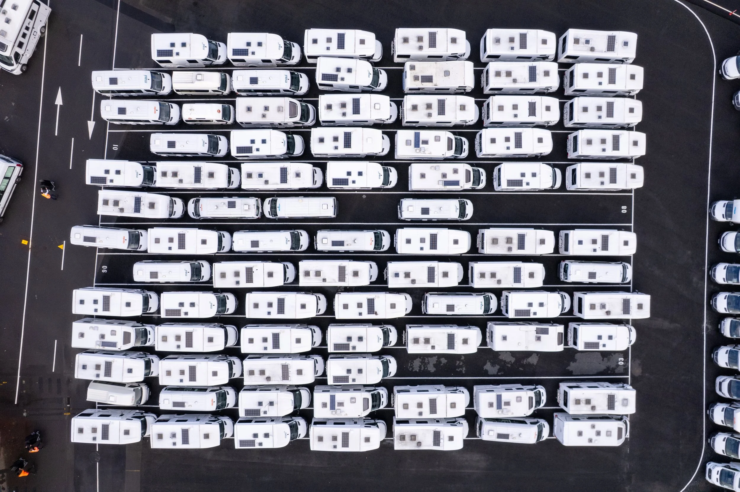 Waitomokia April 2025-97.jpg