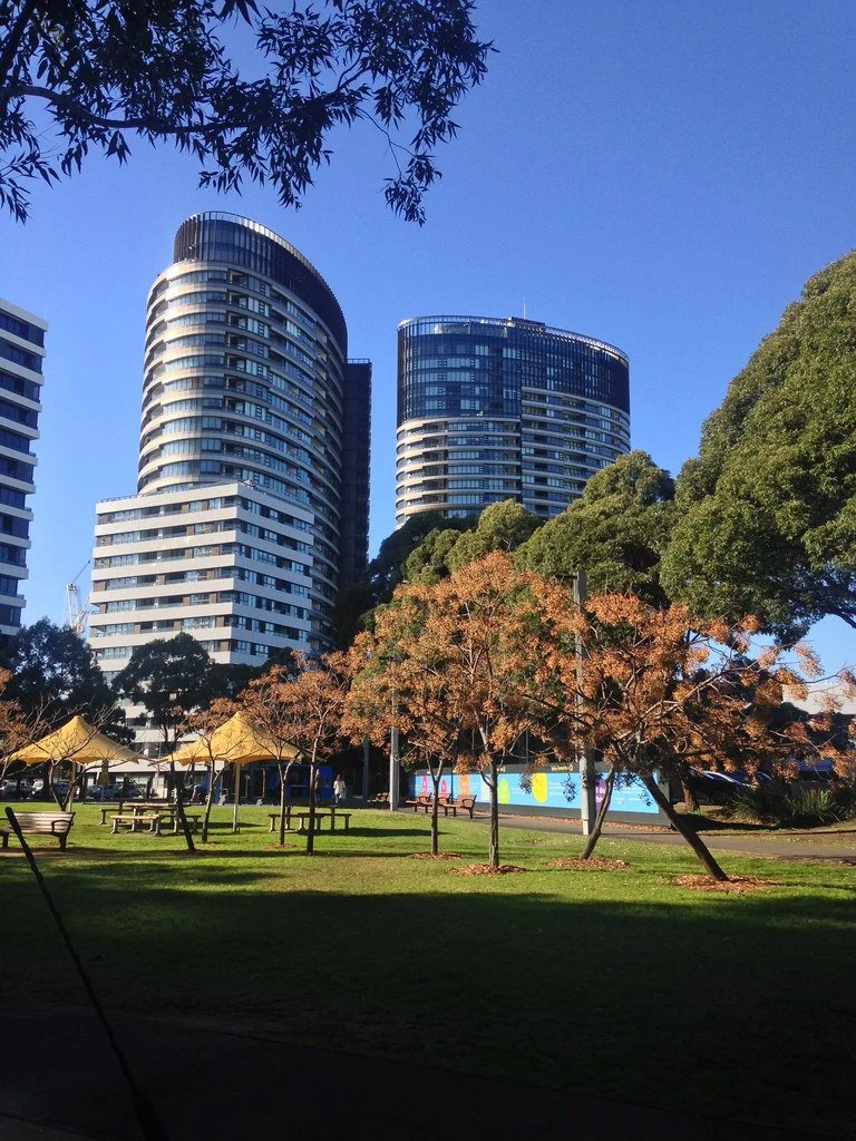 SOPA Development.jpg