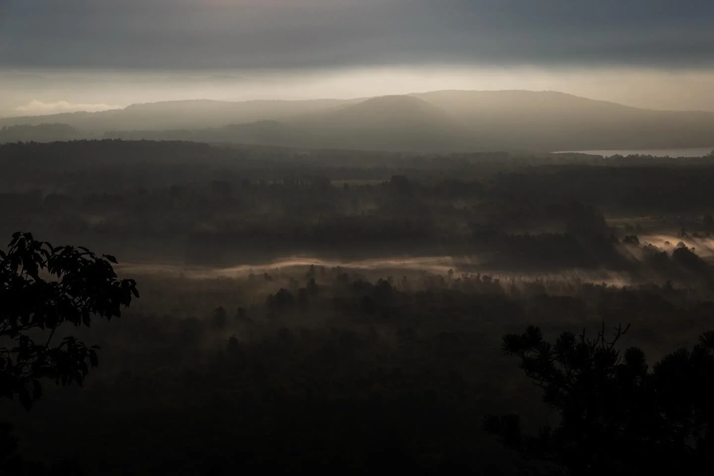 Post-Equinox at The Thyme • The leaves are beginning to turn, coloring the land with the first signs of autumn. Our bodies, a little more at rest, naturally lean into the season of letting go. And within our fall retreats, what is felt most is g
