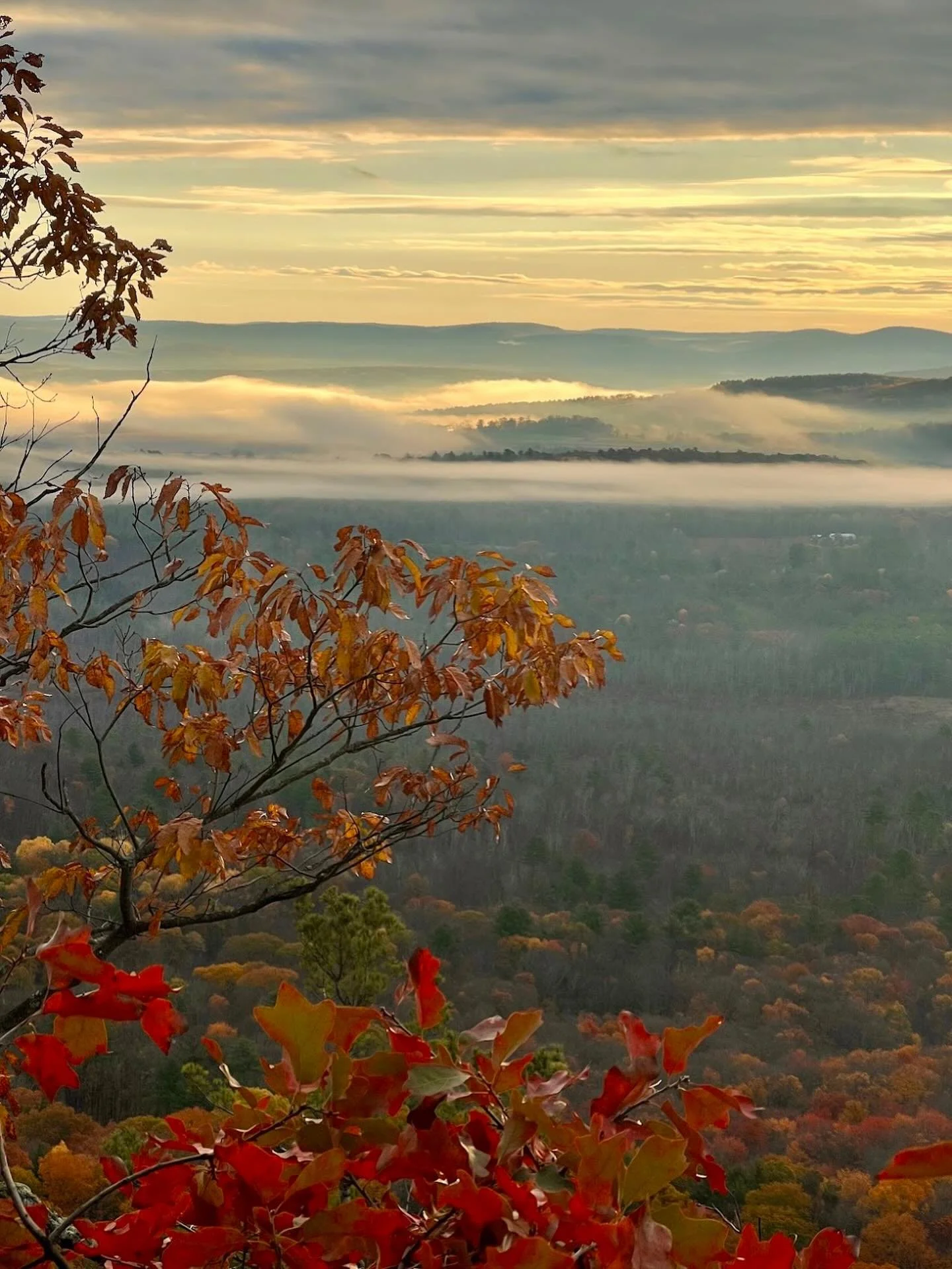 Reflecting on what a nourishing season it&rsquo;s been in The Berkshires as autumn settles into its last, quiet notes. We prepare for winter &mdash; full of special curated experiences to look ahead to, welcoming new and old friends to our home. 

Ca