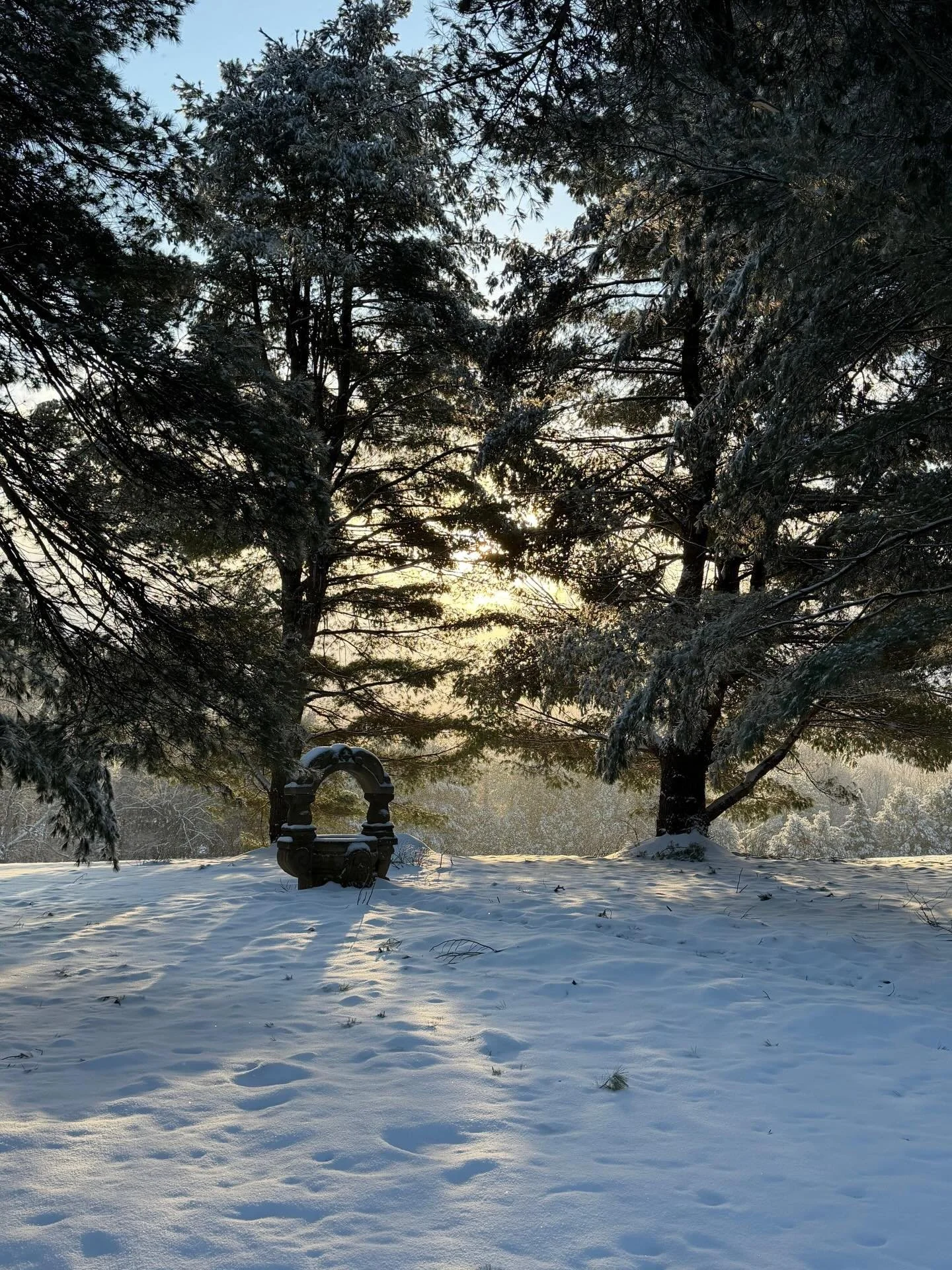 Over the past year, our friends and family have gifted us so much: their talents, their presence, their wisdom, and the occasional toy.

And then this arrived. A box bigger than we were used to. Inside, a wishing well.

We are endlessly grateful to t