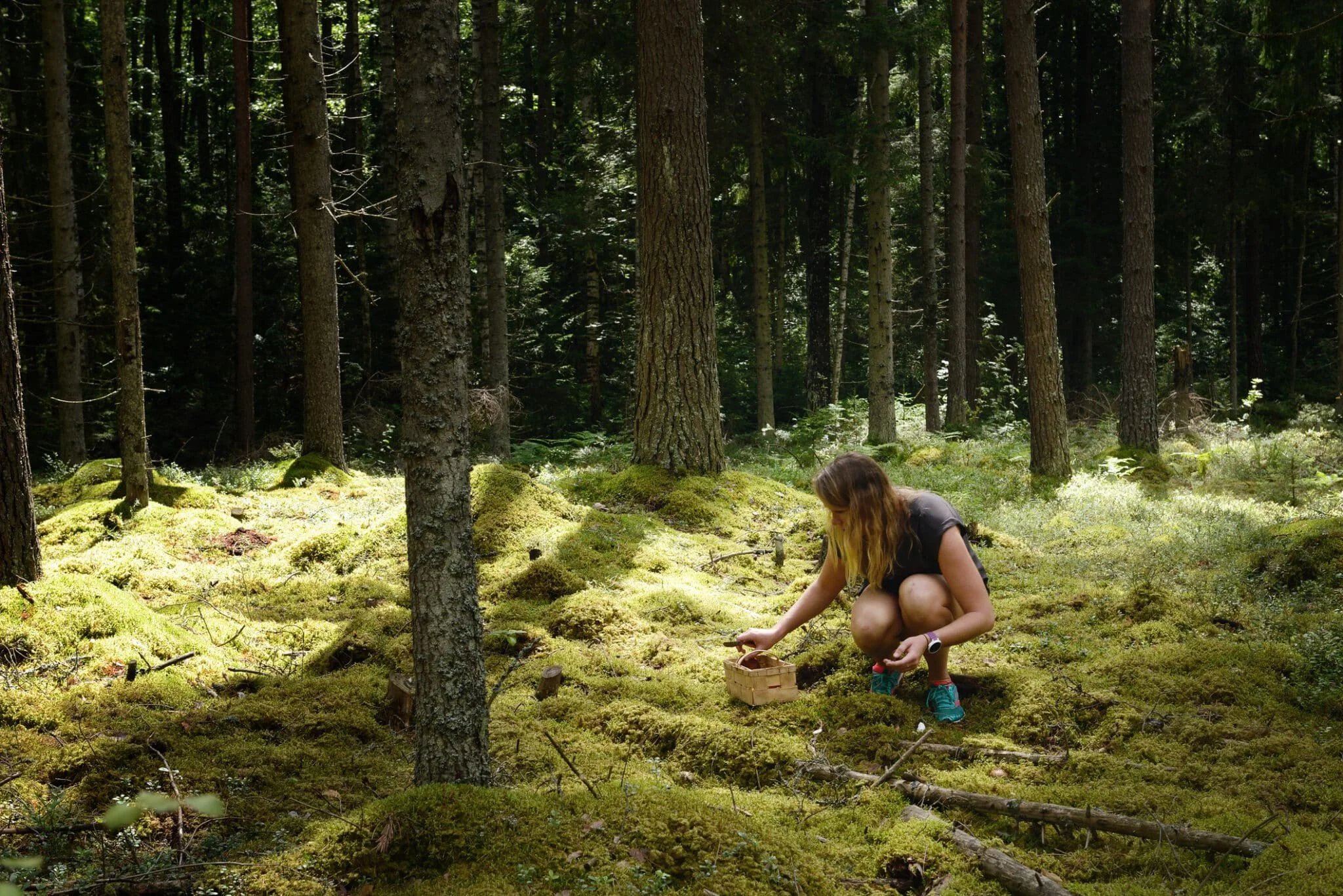 foraging.jpg