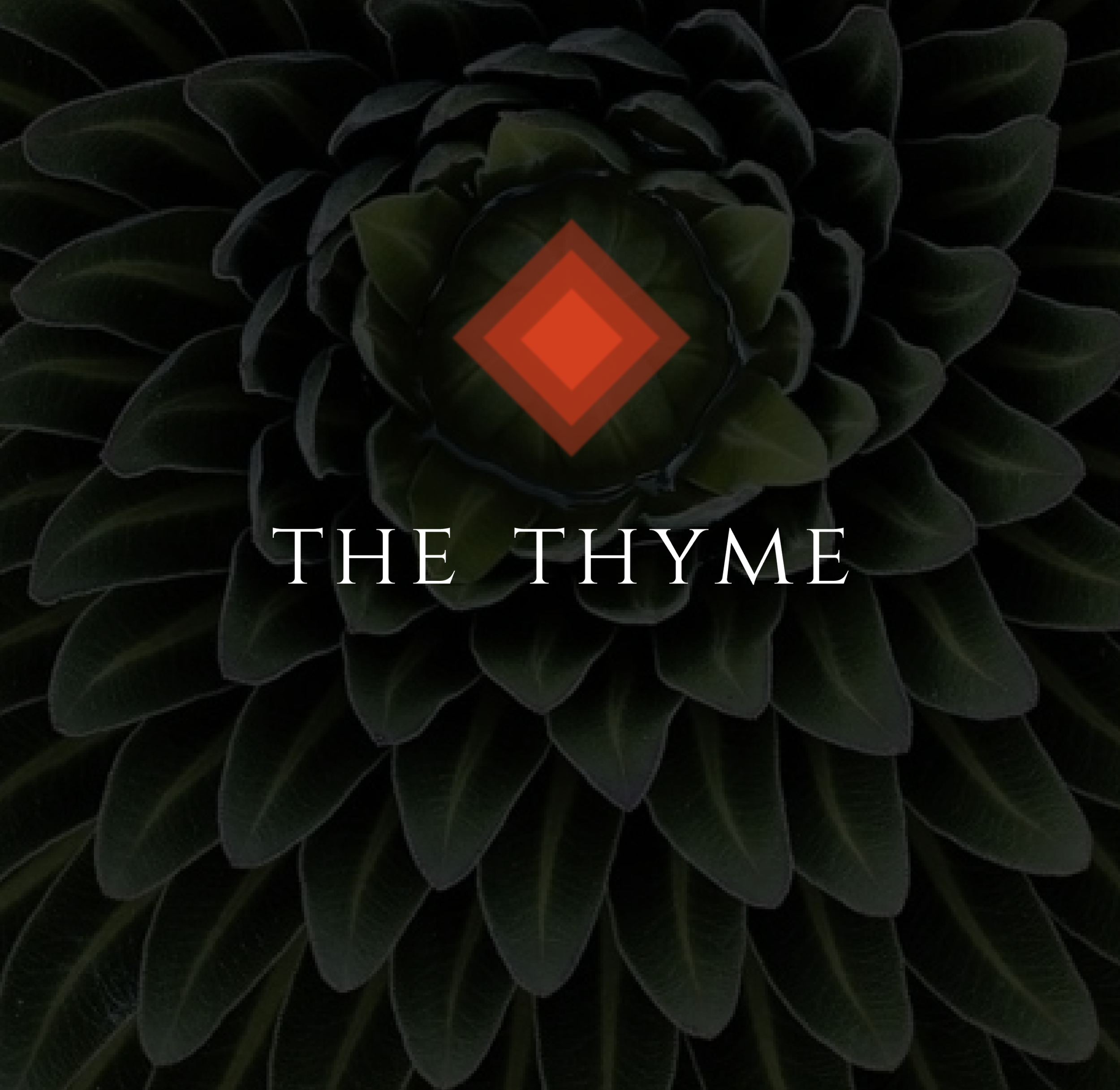 thyme square.png