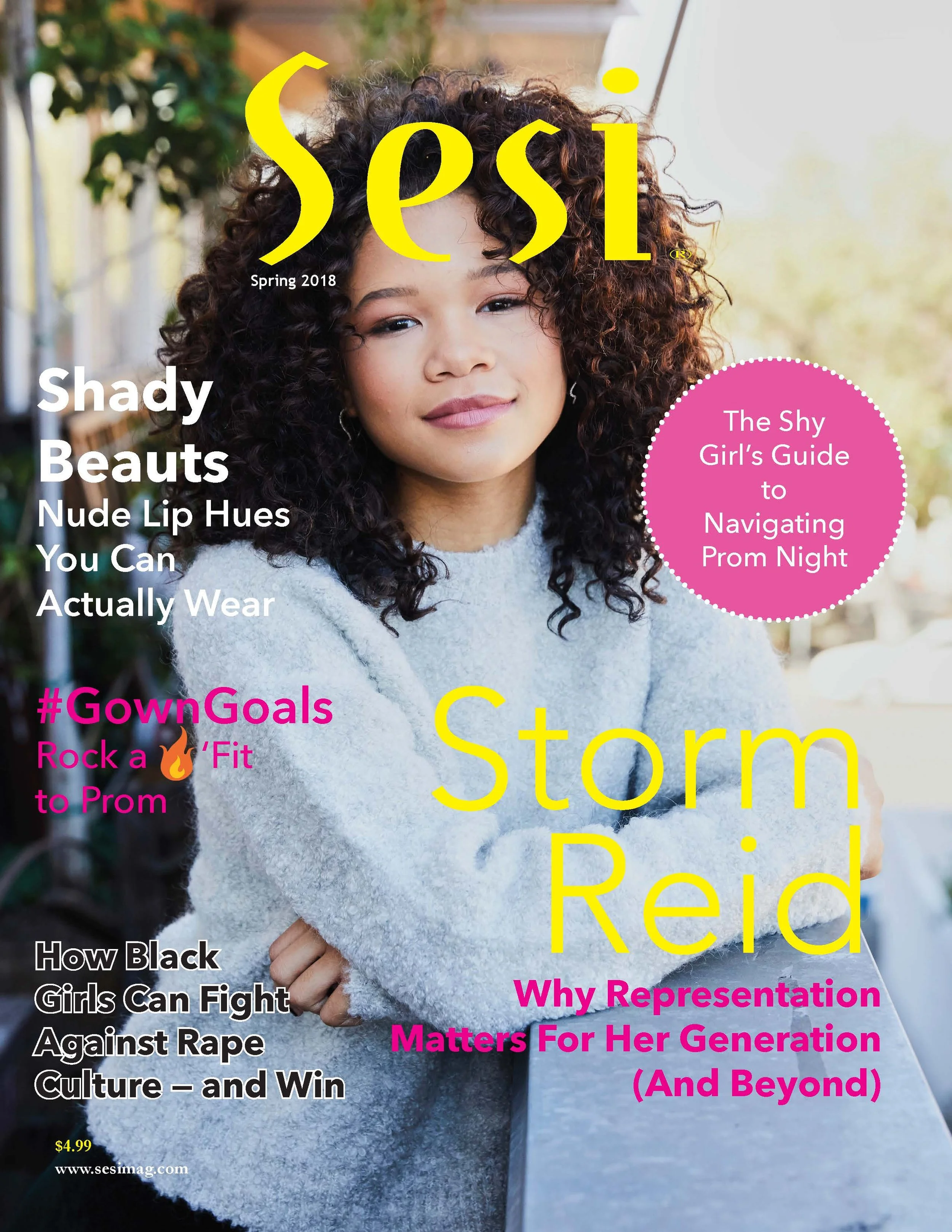Sesi Magazine