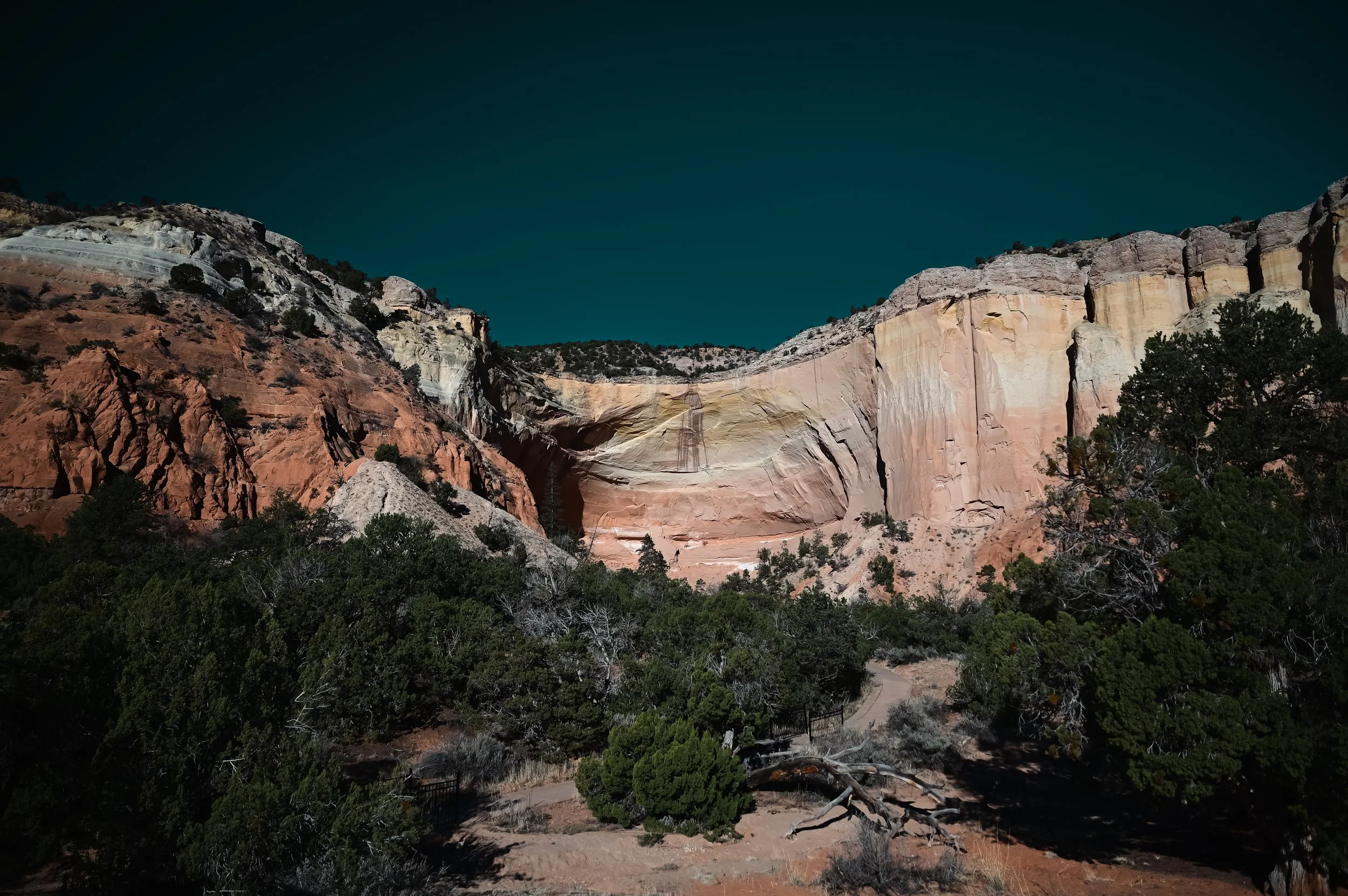 DSC_3653.jpg