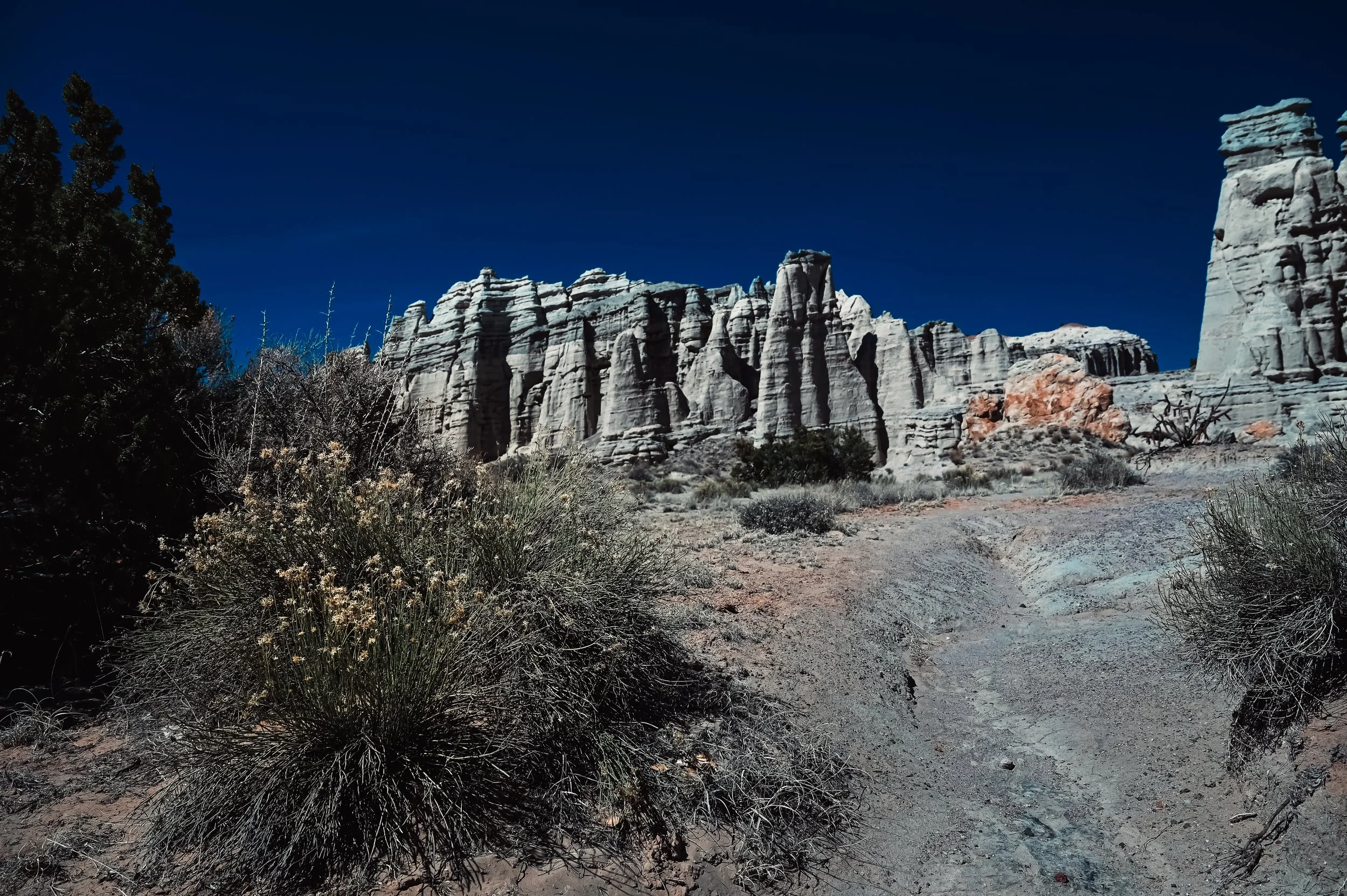 DSC_3068.jpg